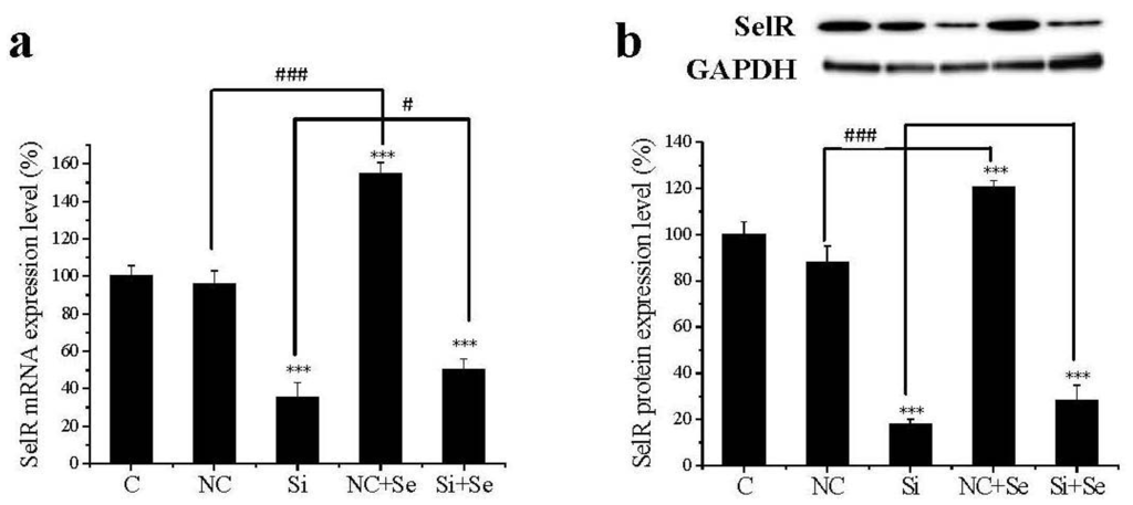 Ijms 17 00231 g001 1024