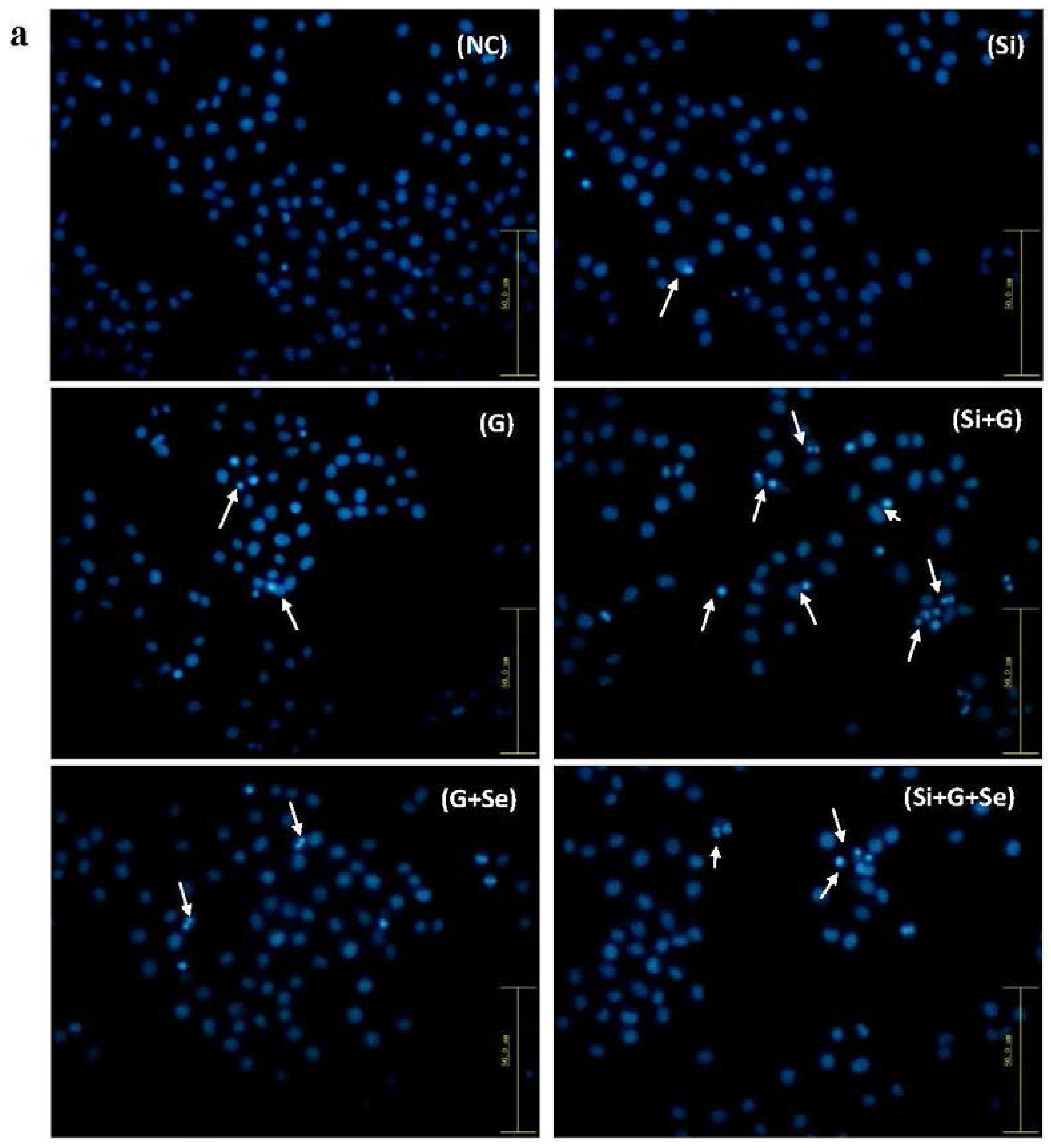 Ijms 17 00231 g003a