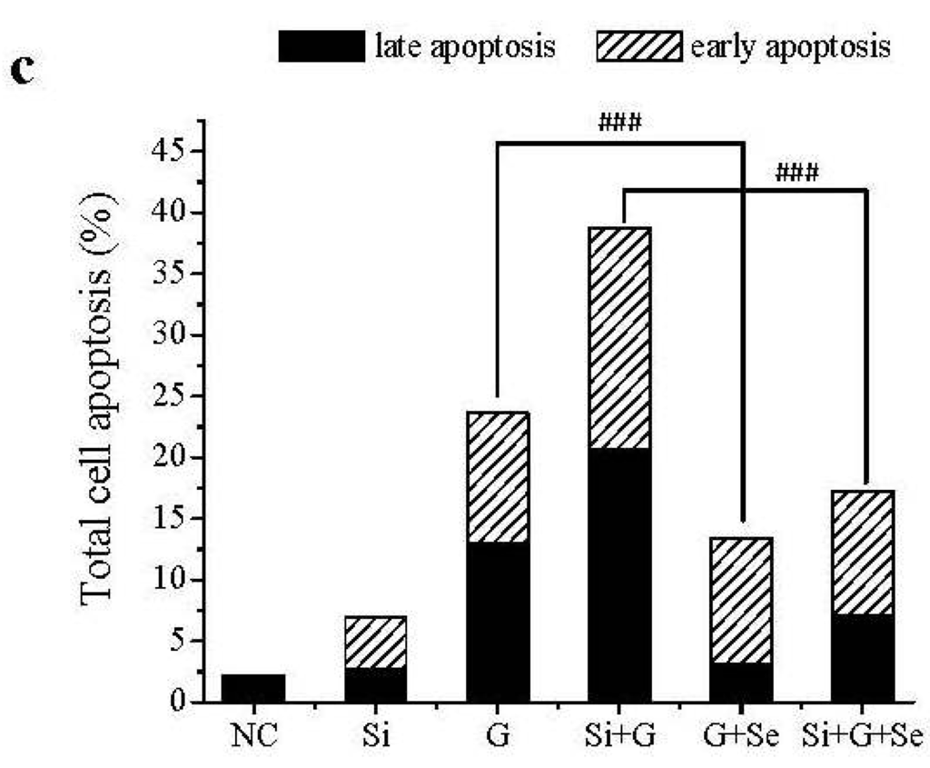 Ijms 17 00231 g003c 1024