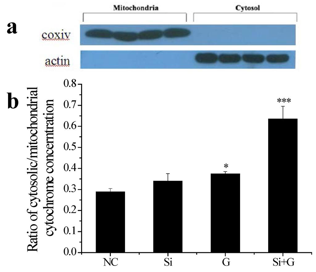 Ijms 17 00231 g007 1024