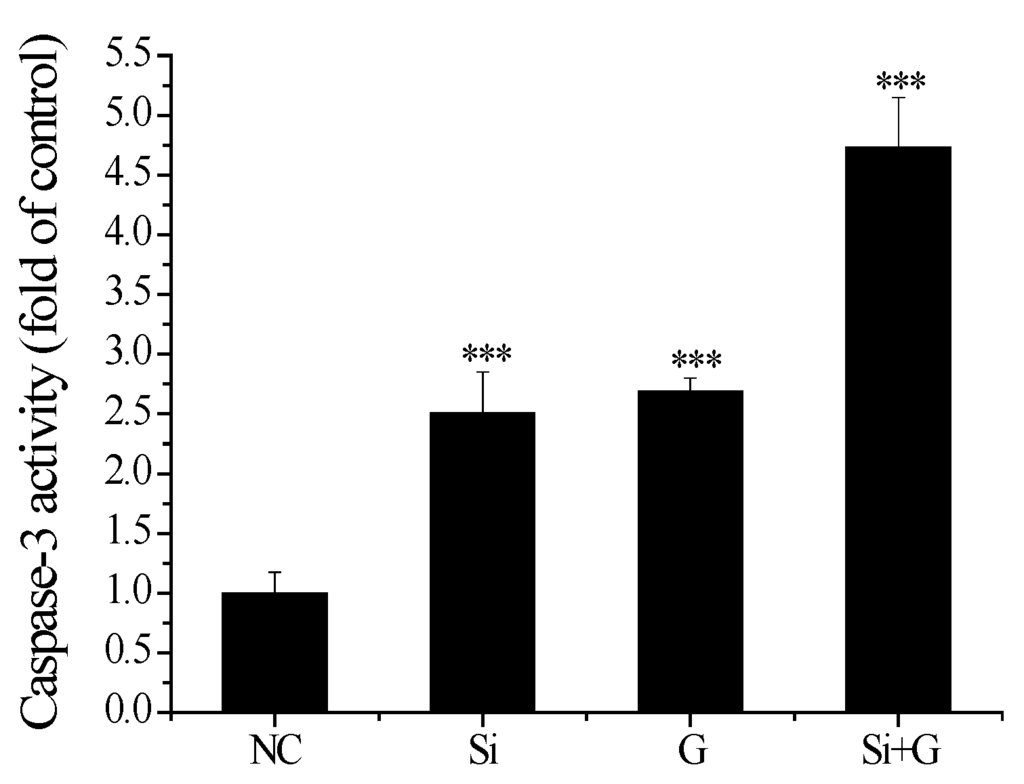 Ijms 17 00231 g008 1024