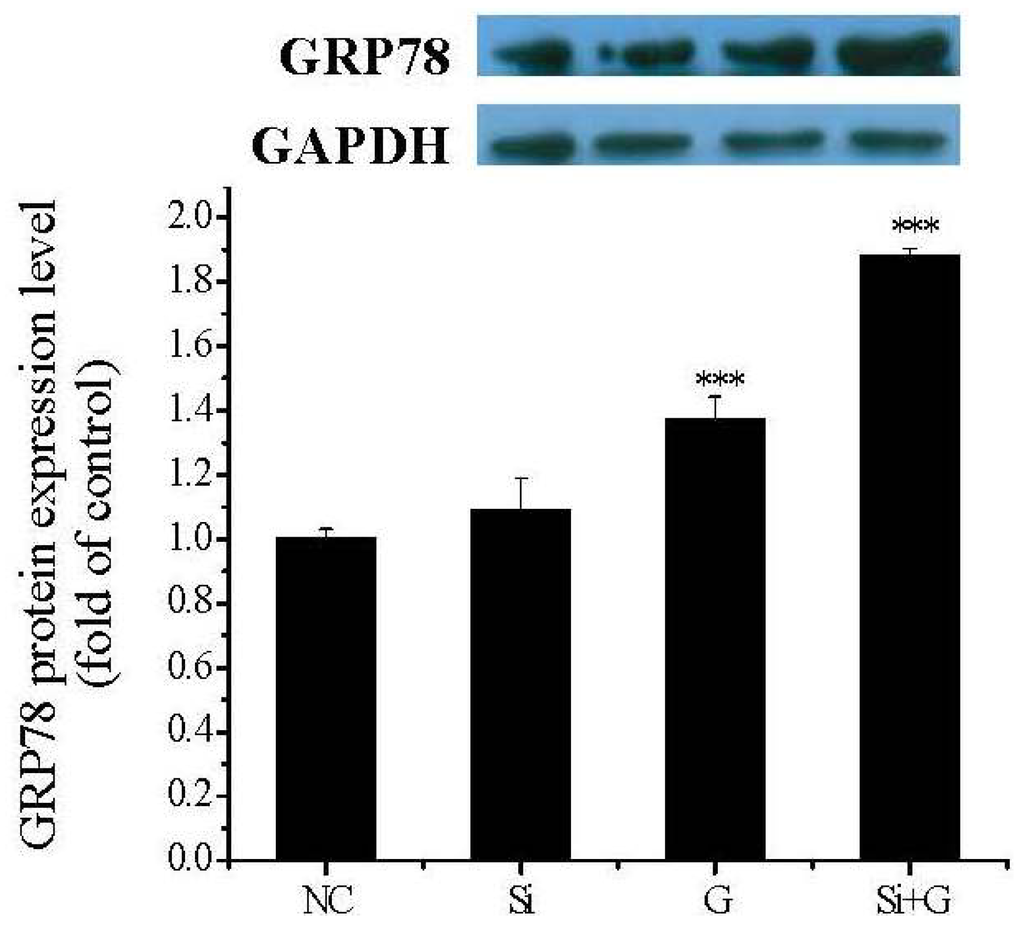 Ijms 17 00231 g009 1024