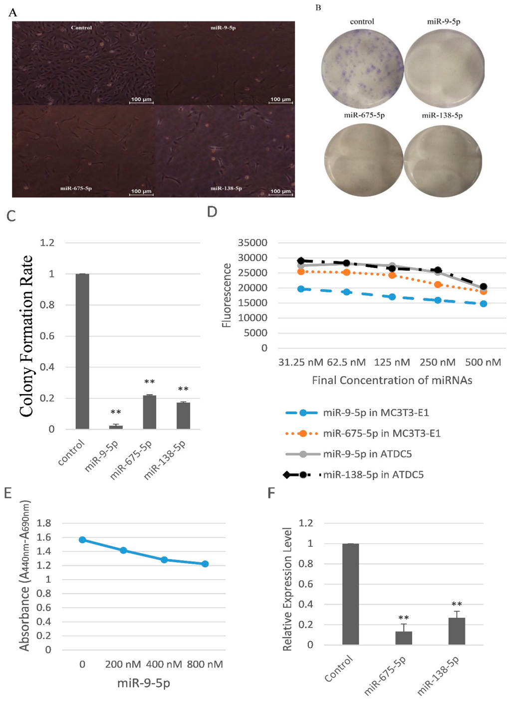 Ijms 17 00236 g002 1024