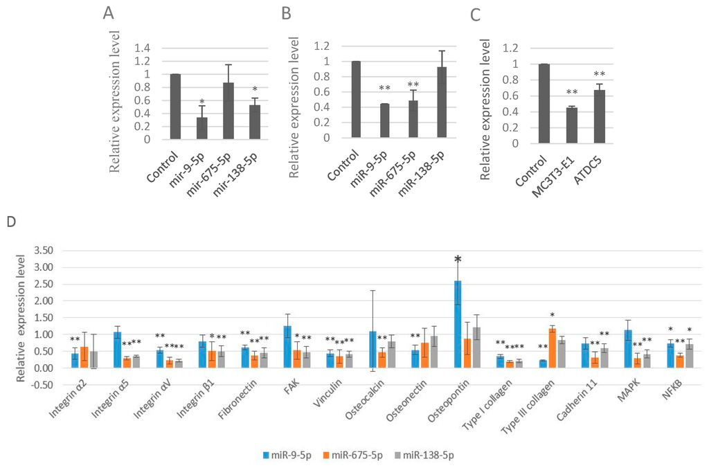 Ijms 17 00236 g003 1024