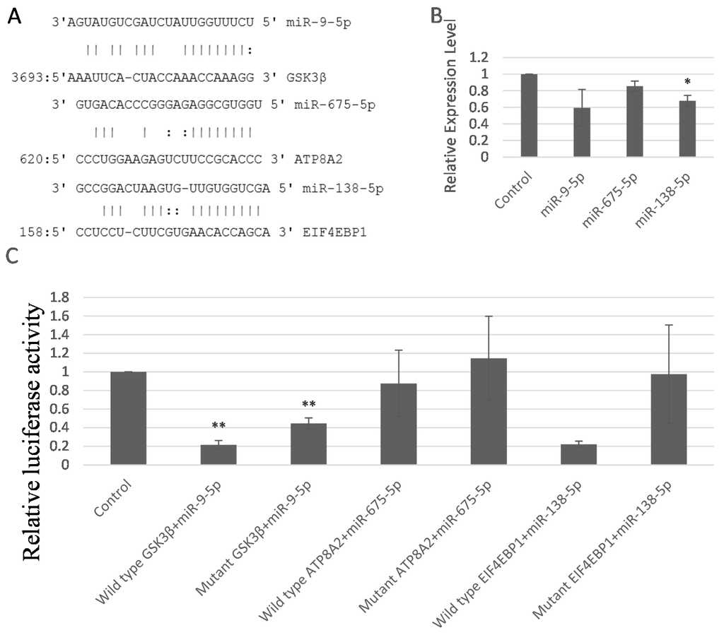 Ijms 17 00236 g005 1024
