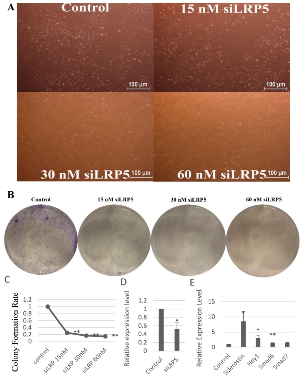 Ijms 17 00236 g006 1024
