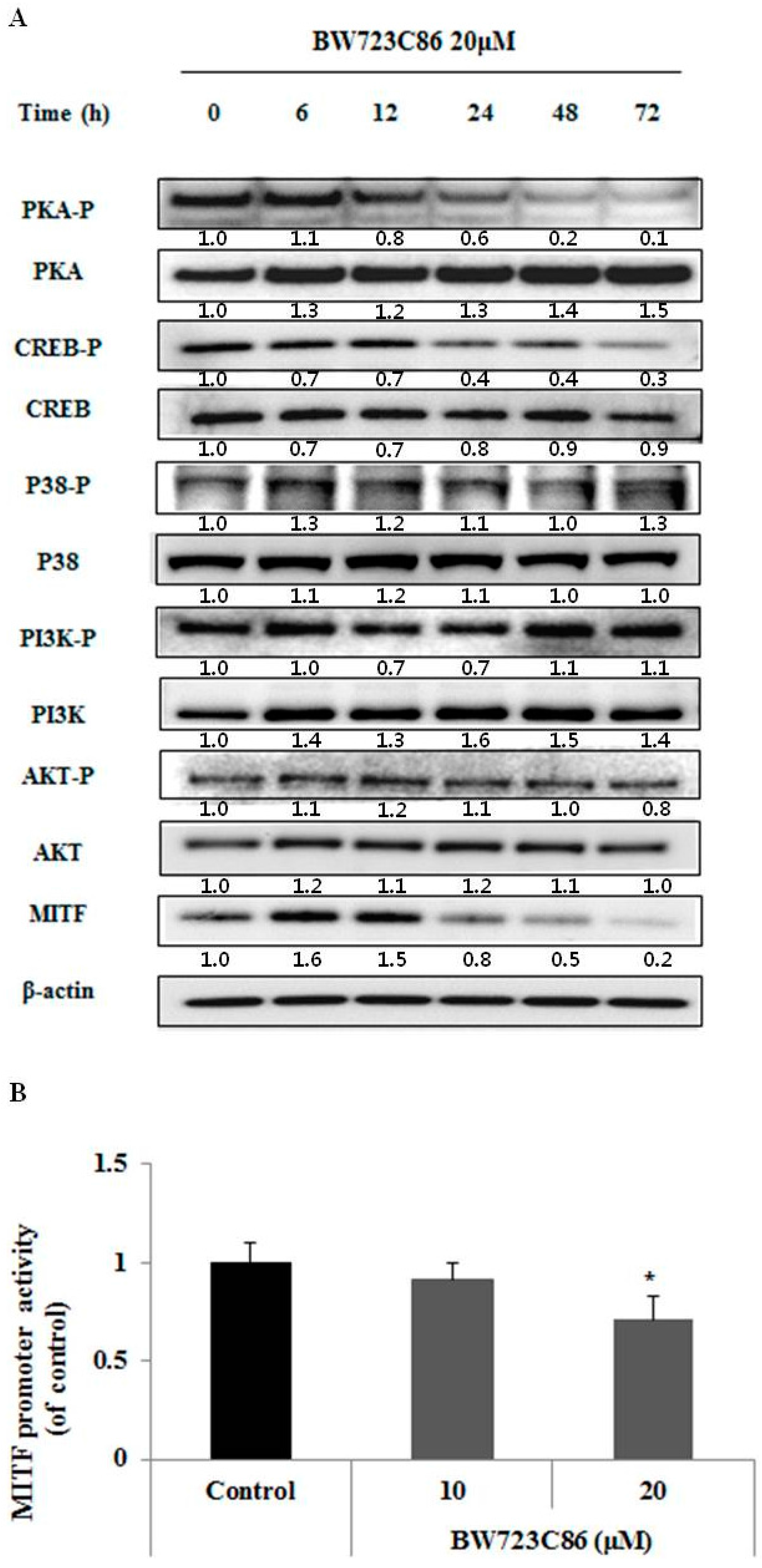 Ijms 17 00546 g004