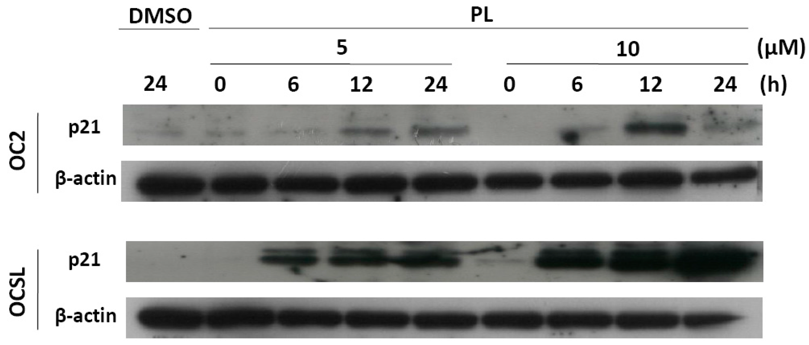 Ijms 17 00616 g003