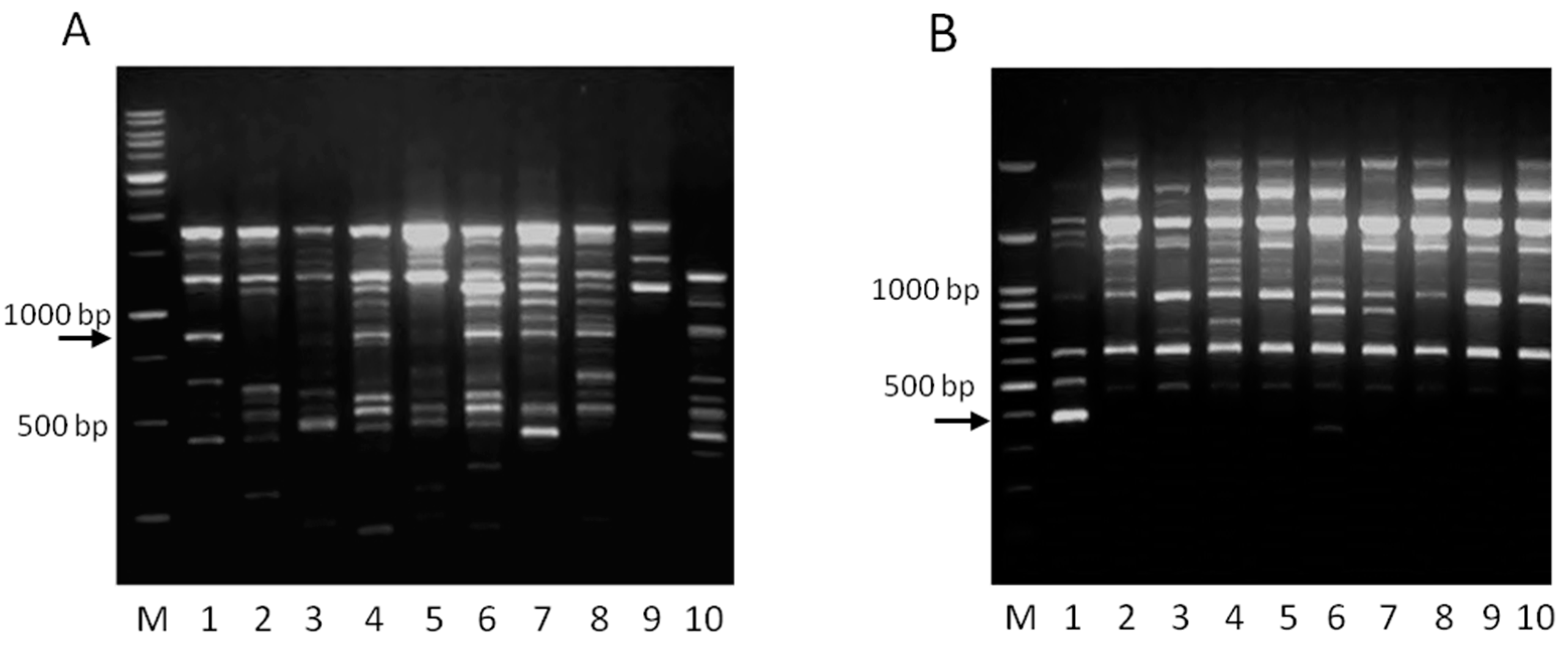 Ijms 17 00668 g001