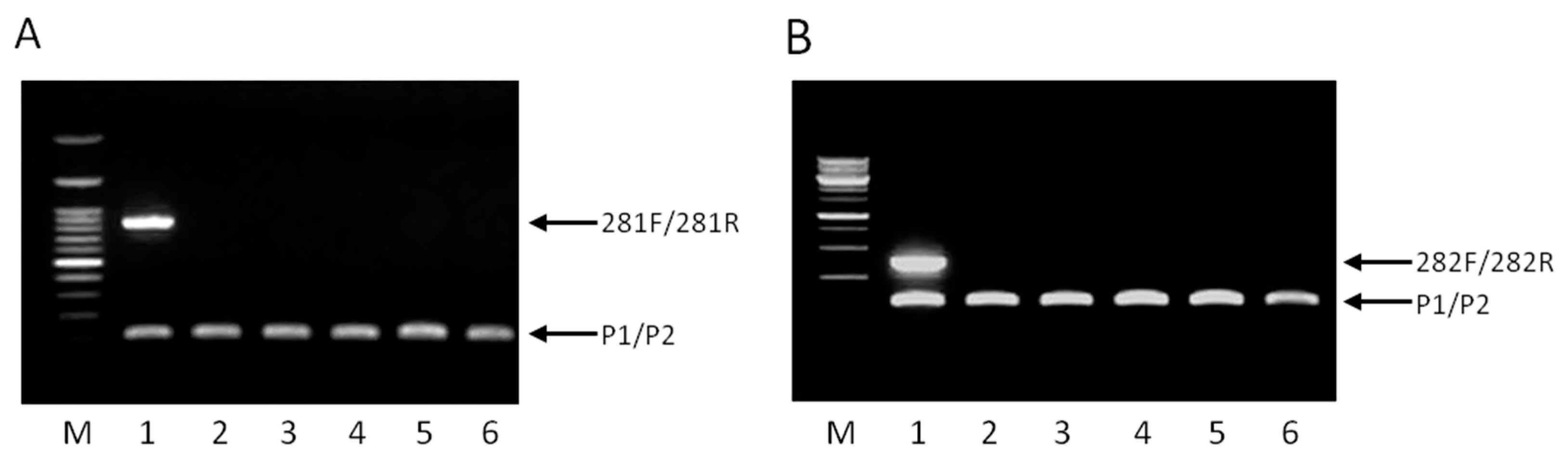 Ijms 17 00668 g002