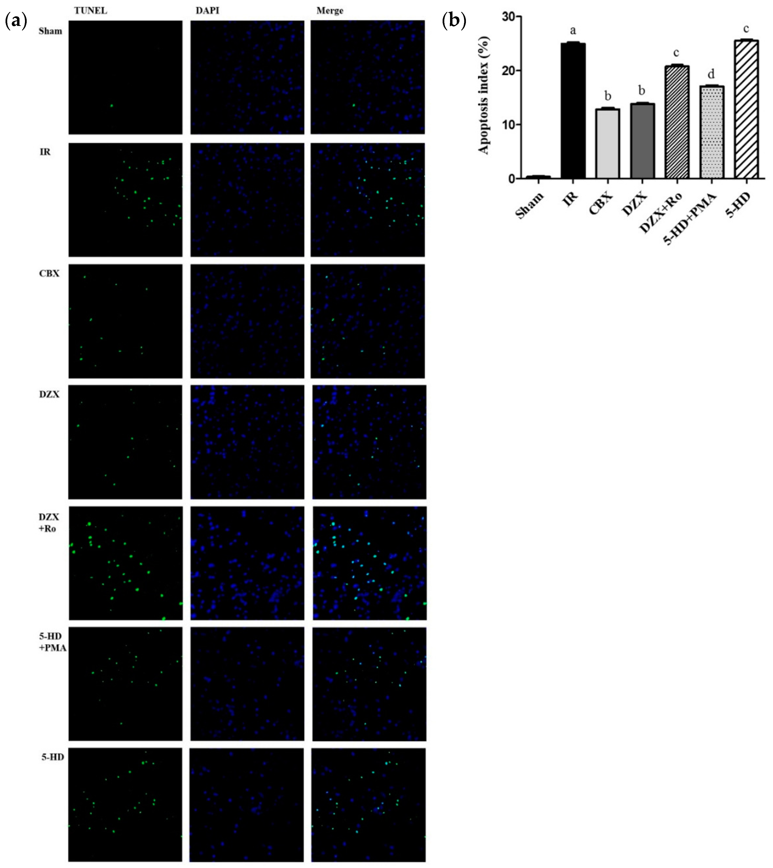 Ijms 17 00679 g004