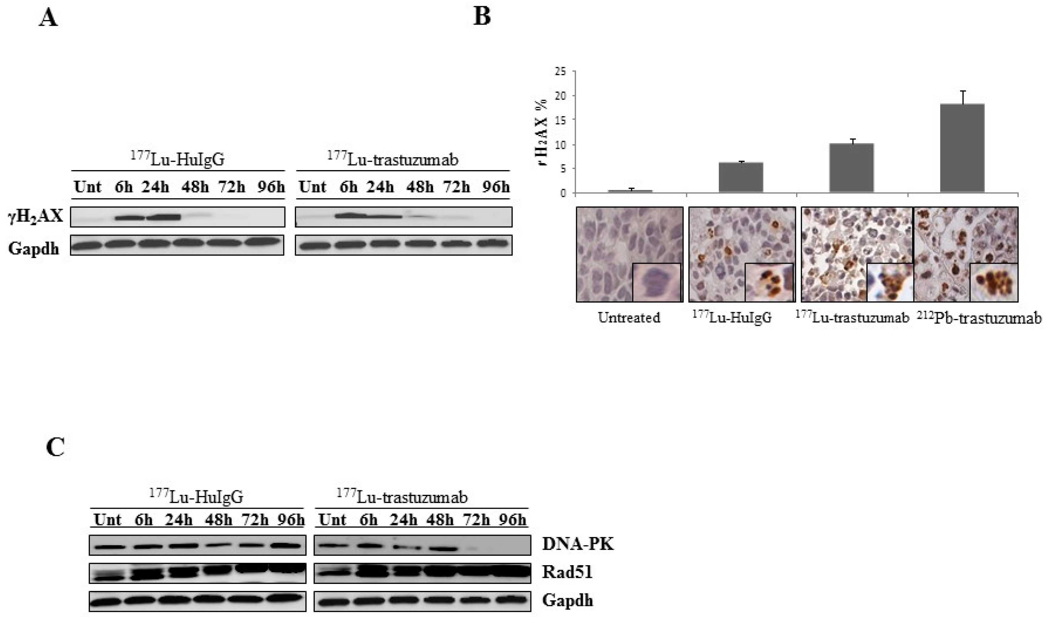 Ijms 17 00736 g002