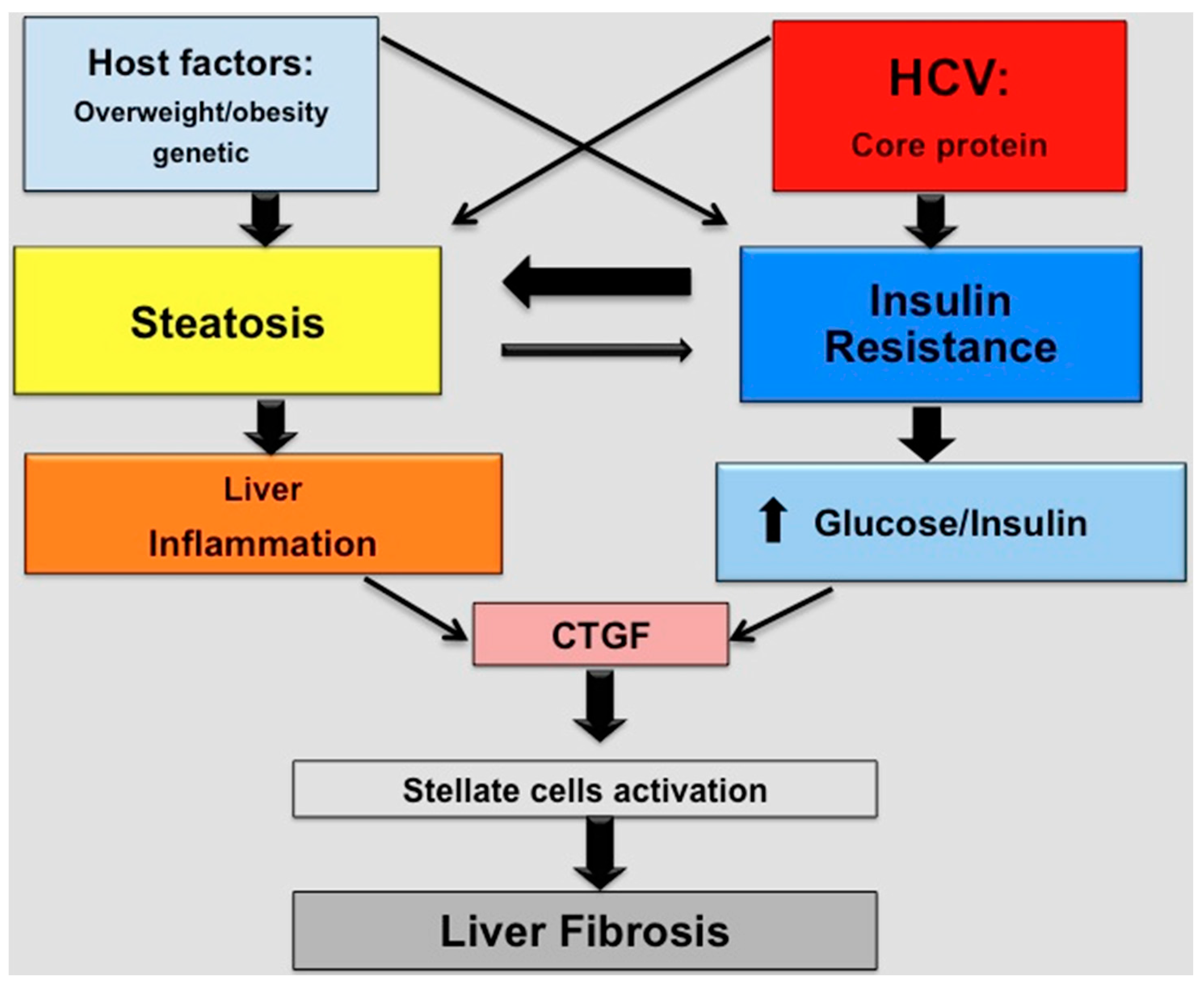 Ijms 17 00803 g002