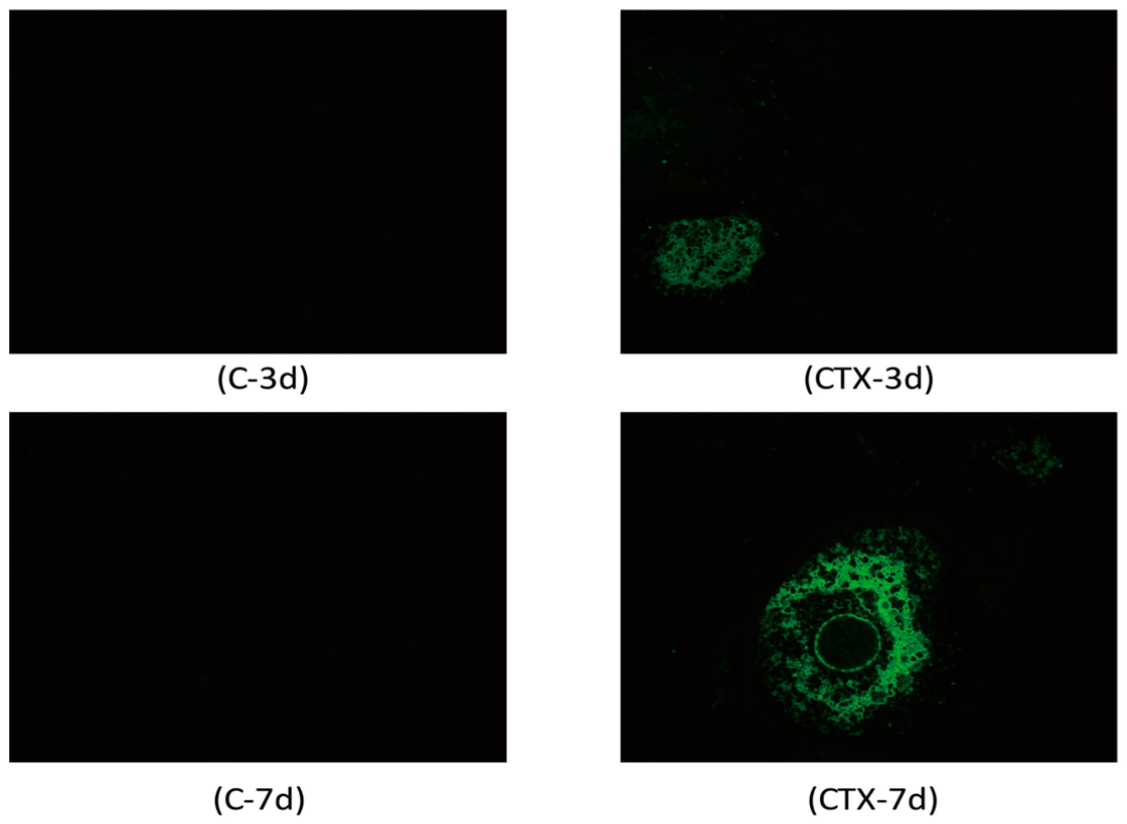 Ijms 17 00836 g003