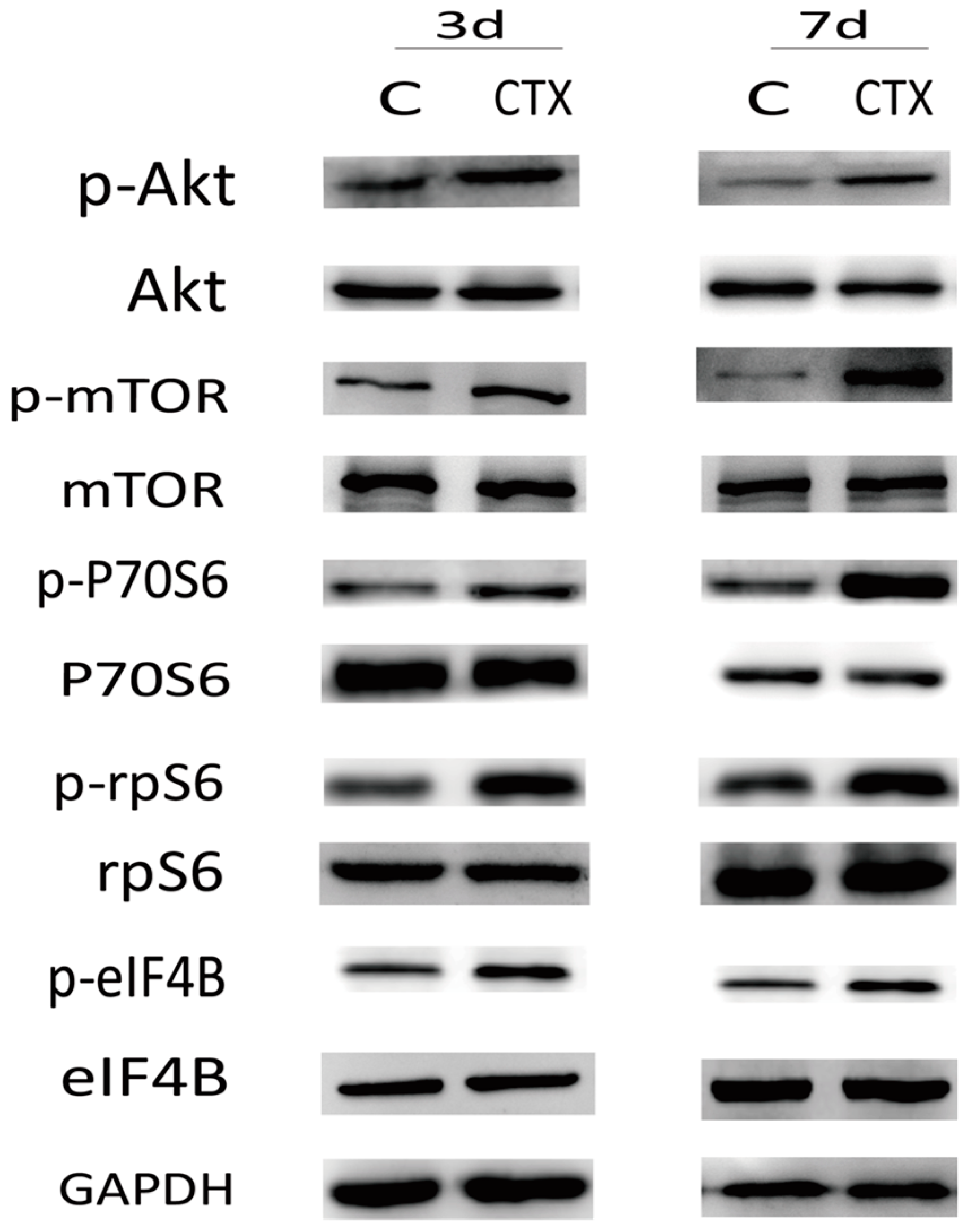 Ijms 17 00836 g005