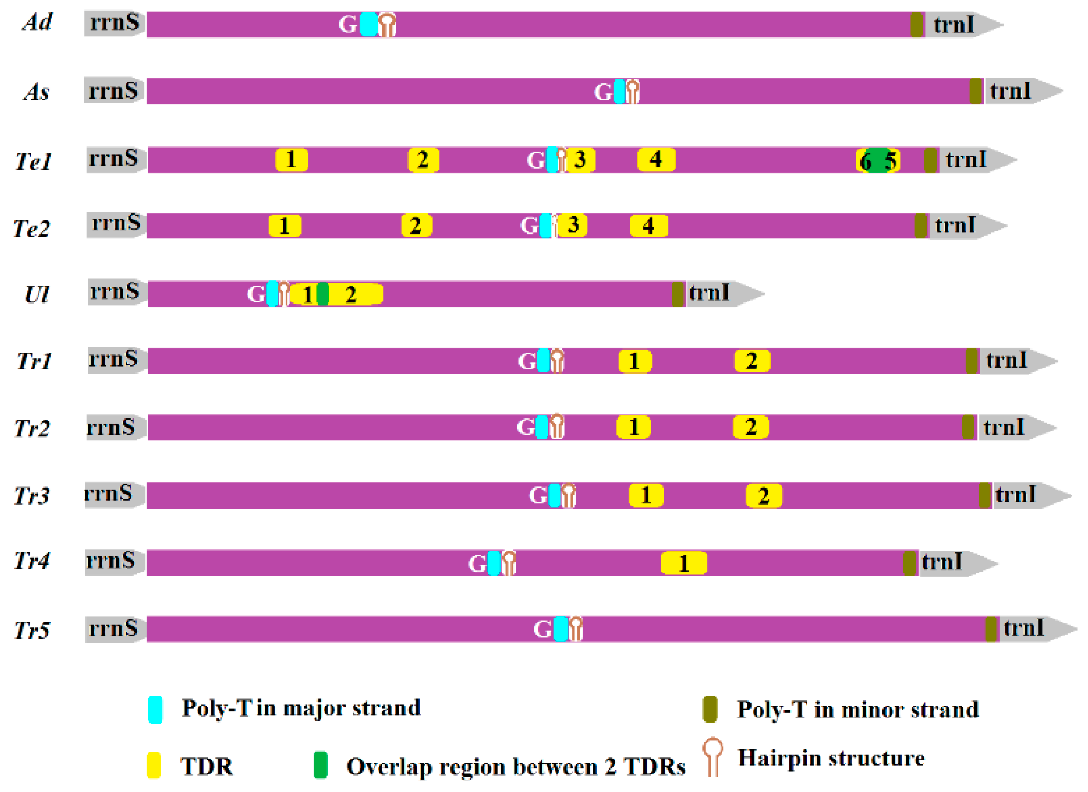 Ijms 17 00841 g006