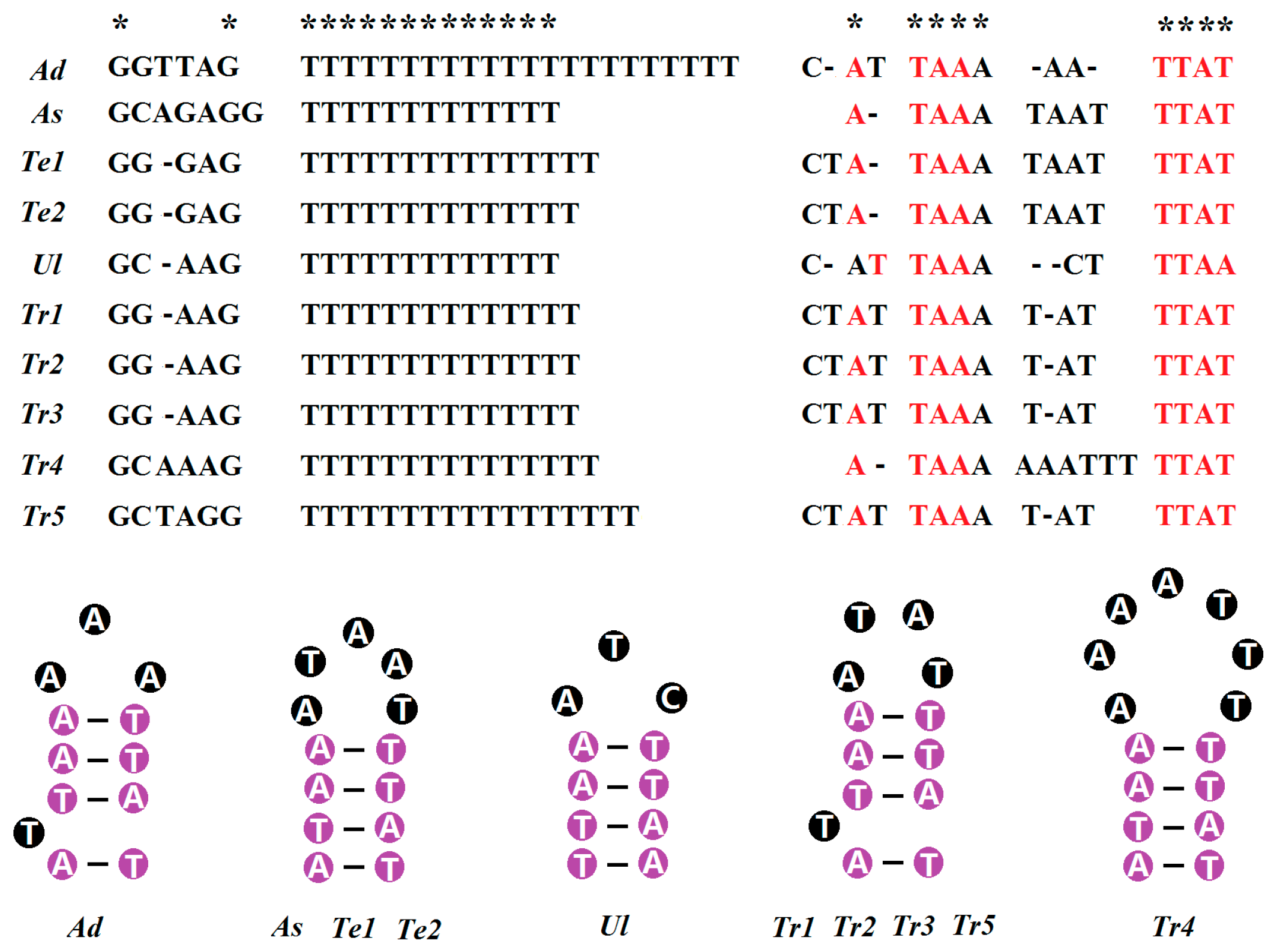 Ijms 17 00841 g007