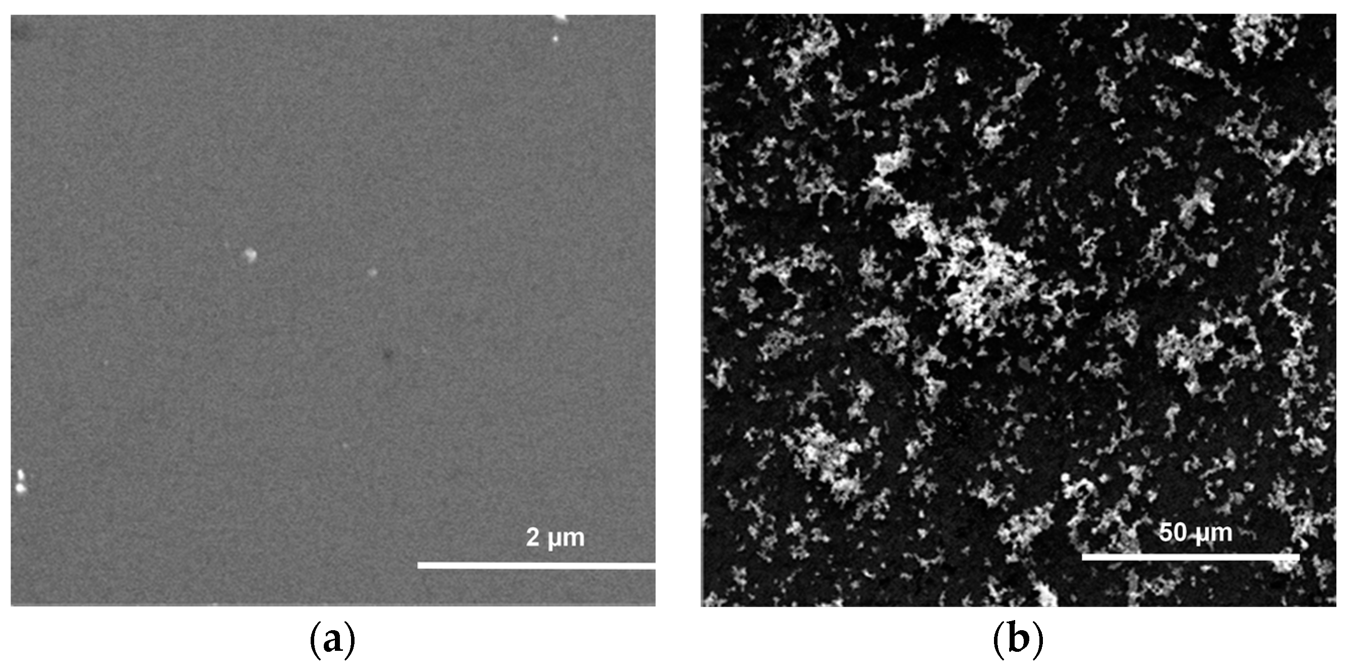 Ijms 17 00876 g002