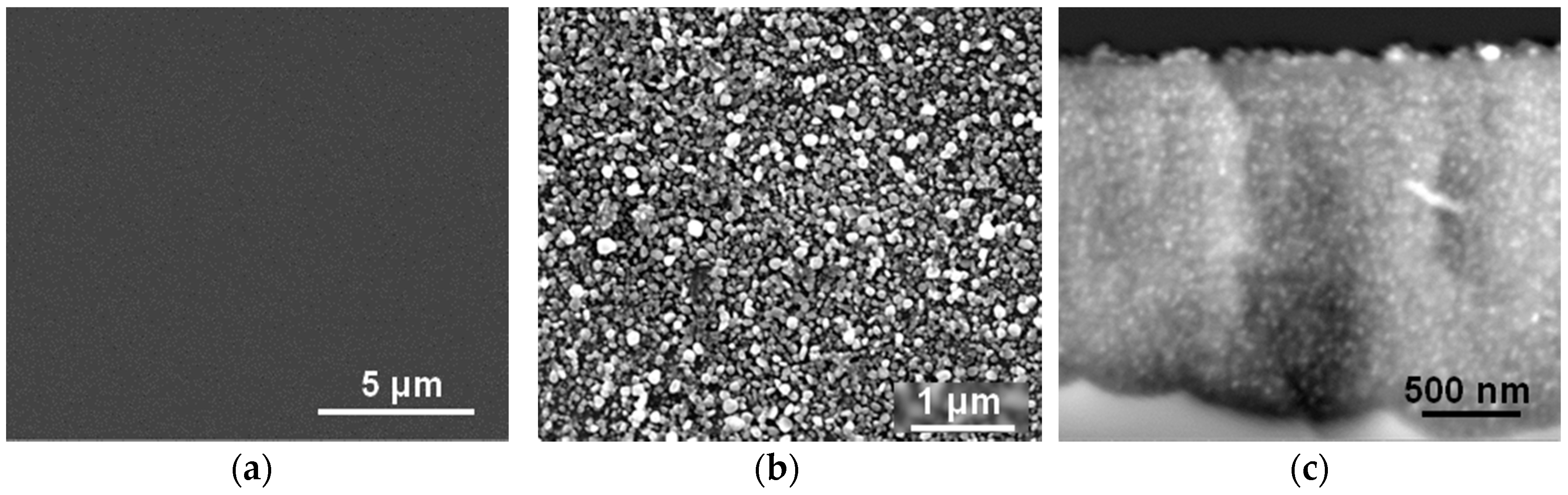 Ijms 17 00876 g006