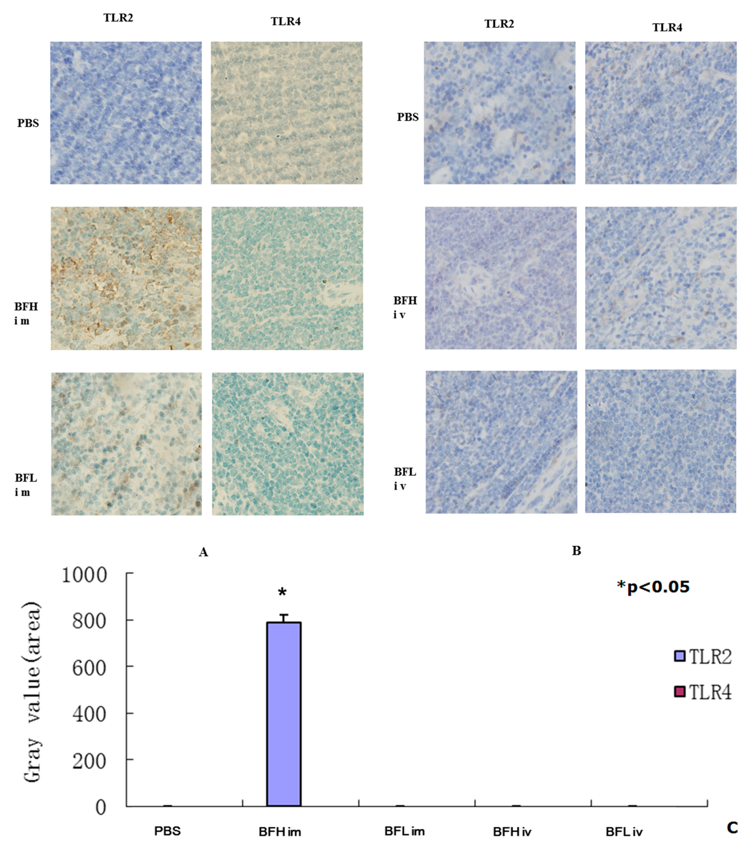 Ijms 17 00891 g004