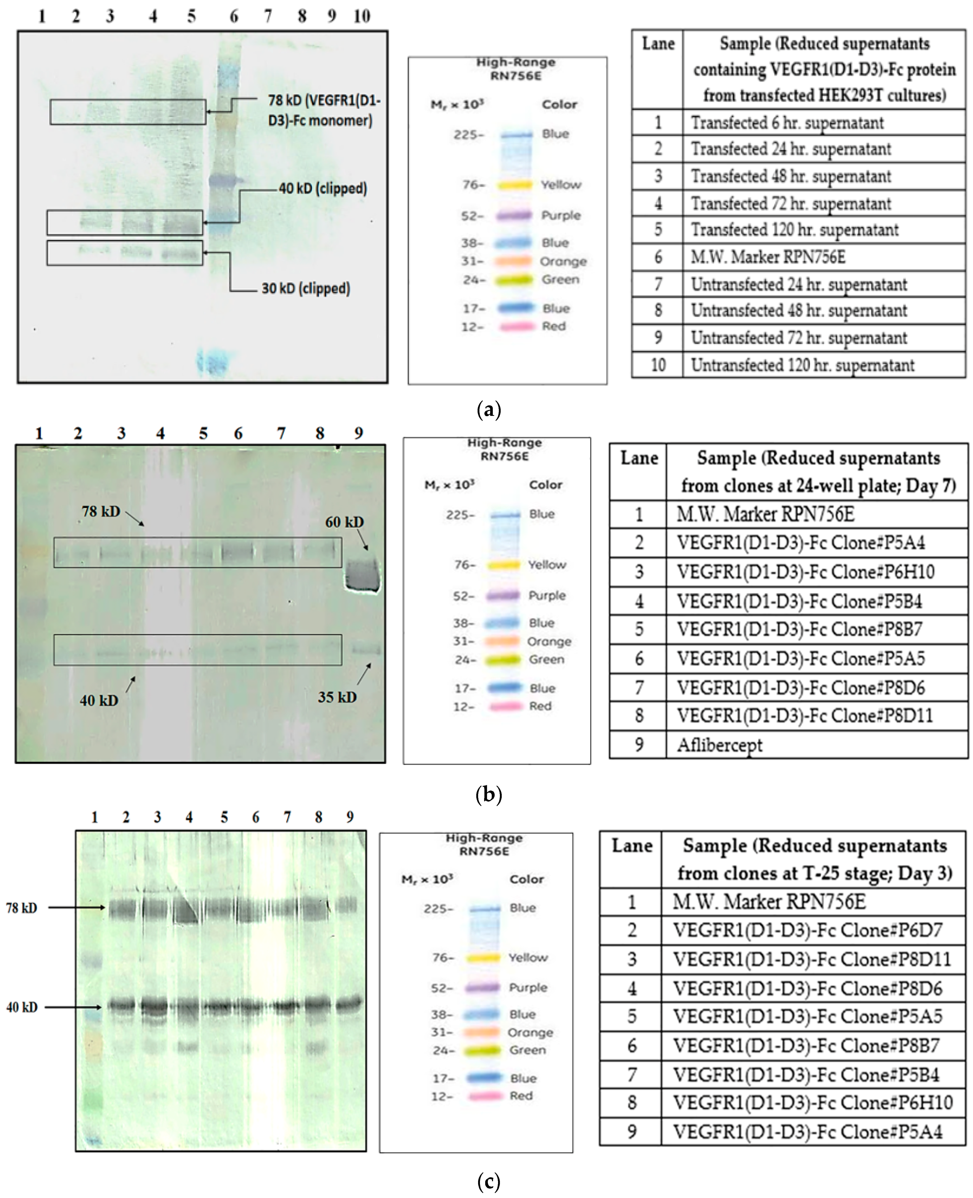 Ijms 17 00913 g001a