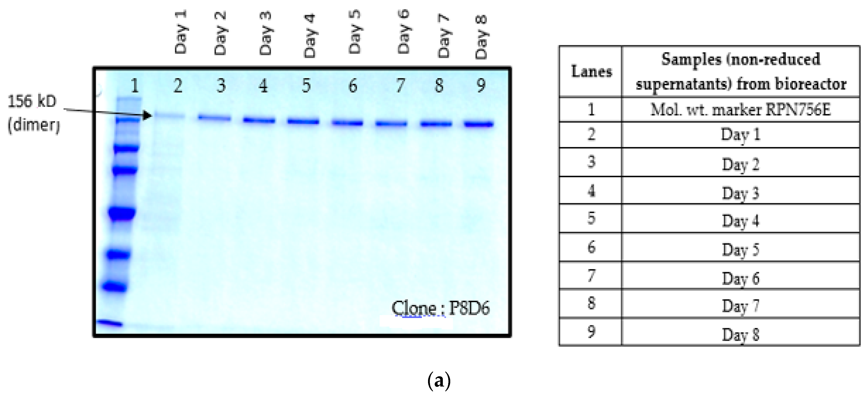 Ijms 17 00913 g004a