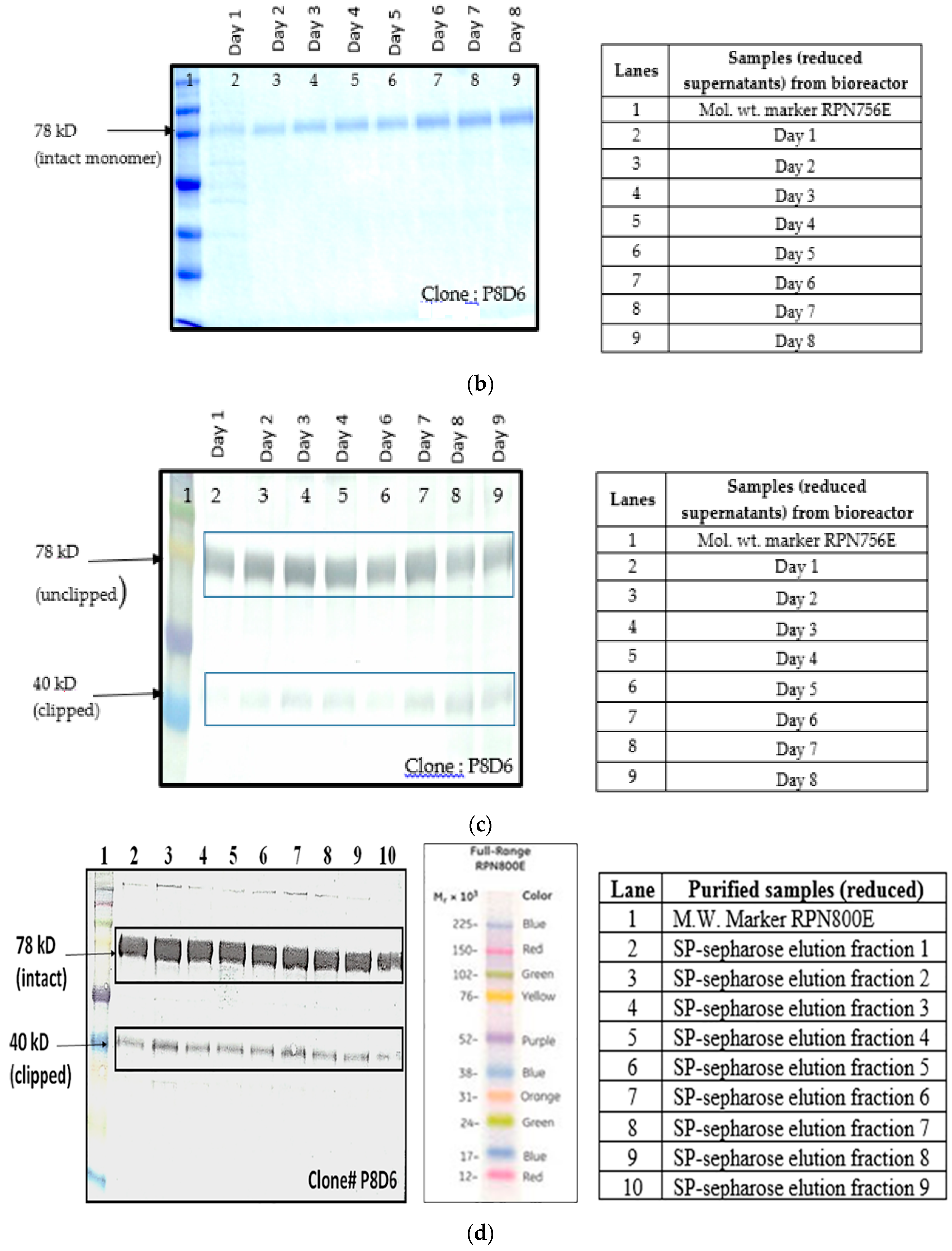 Ijms 17 00913 g004b