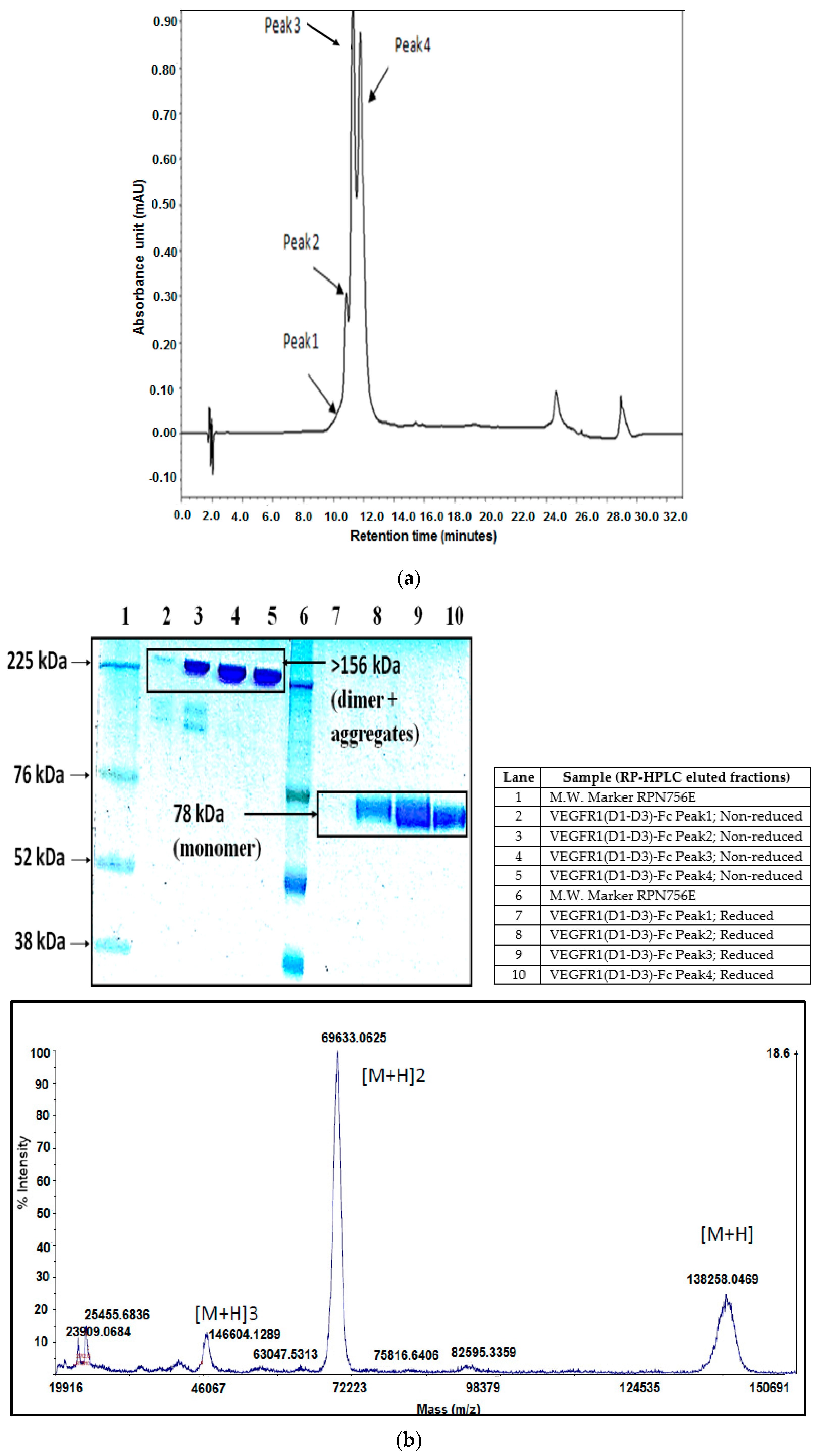 Ijms 17 00913 g005a