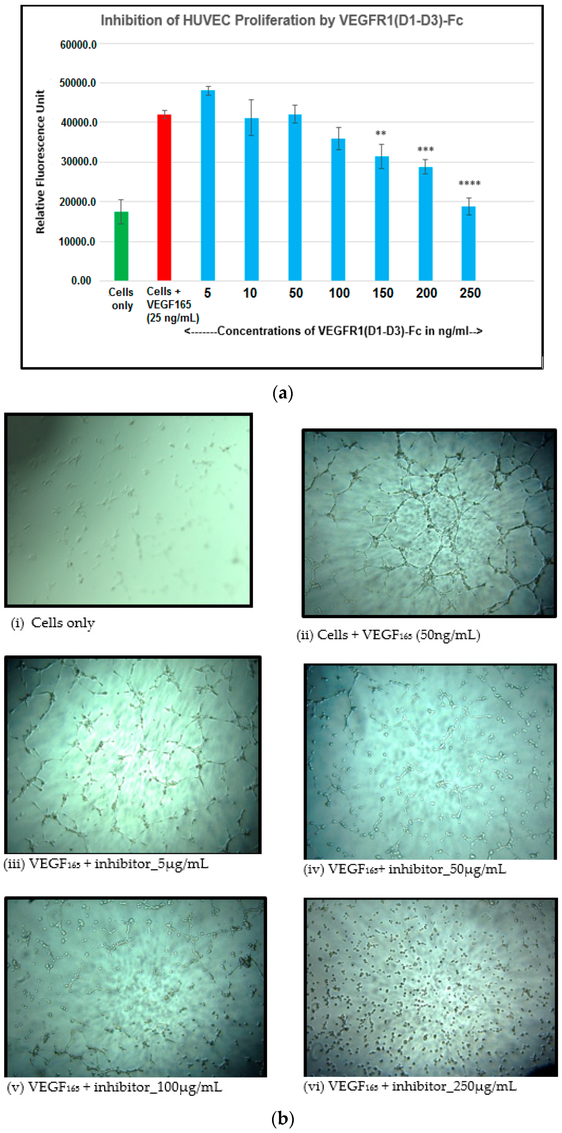 Ijms 17 00913 g007a