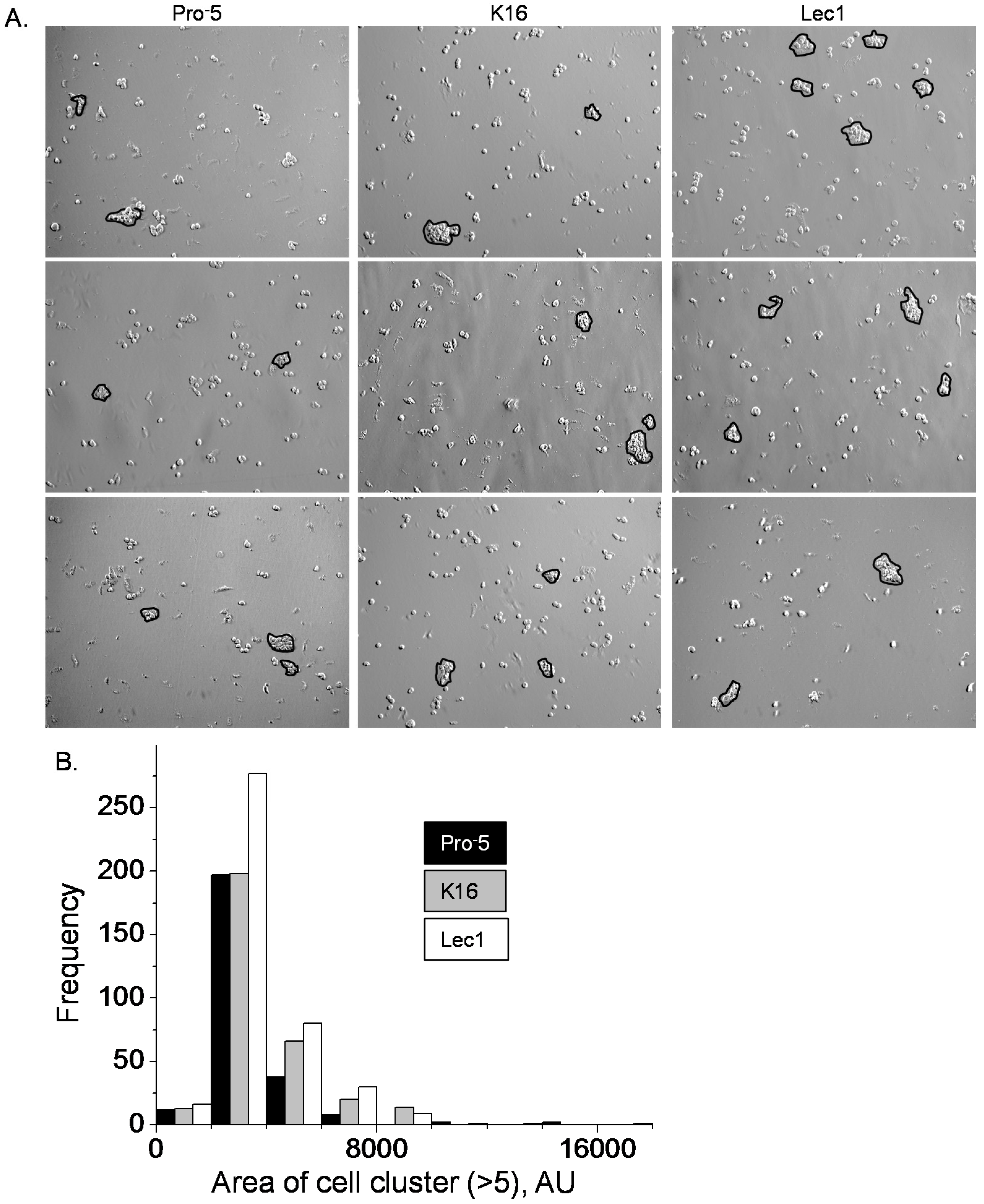 Ijms 17 00925 g003