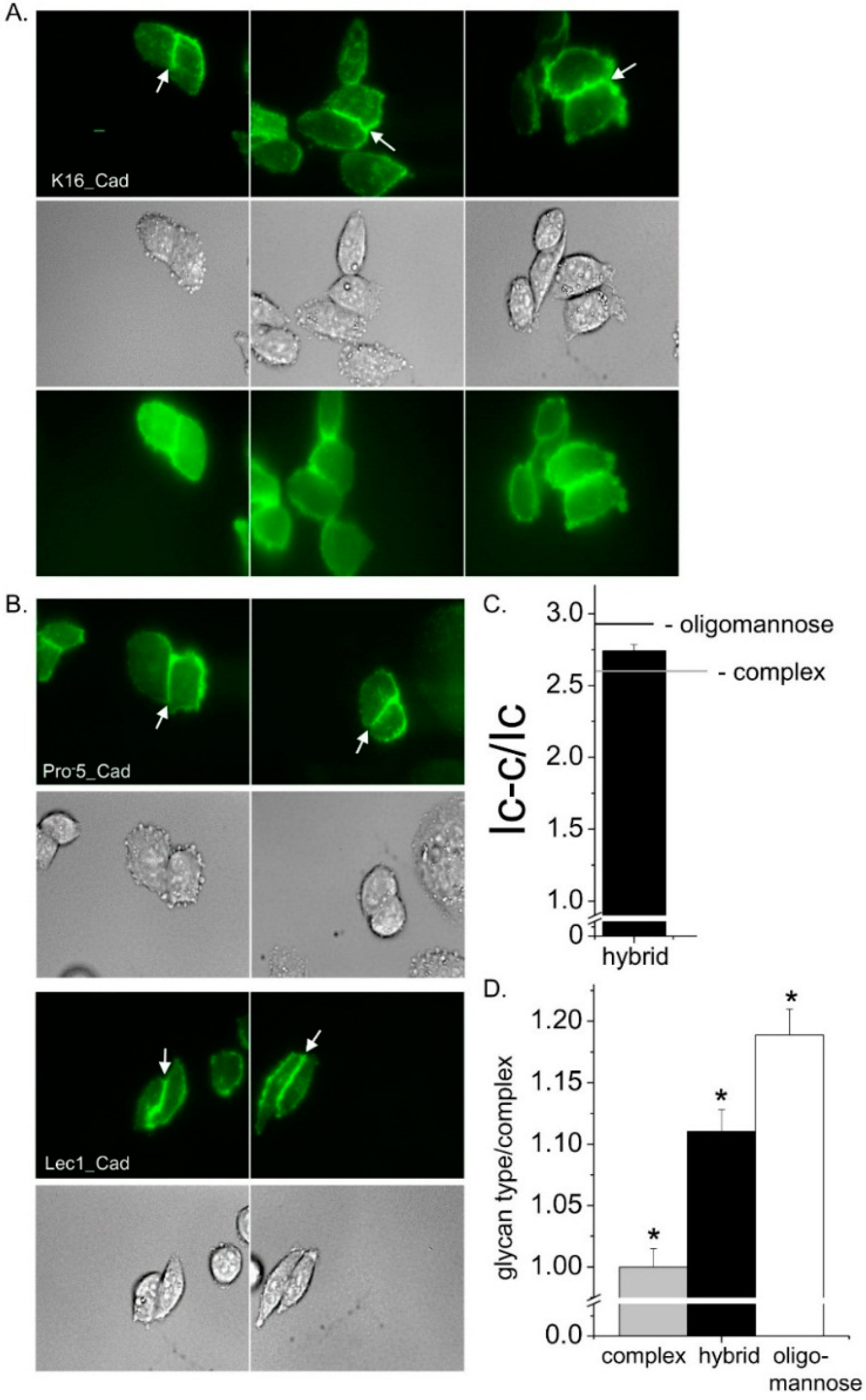 Ijms 17 00925 g006