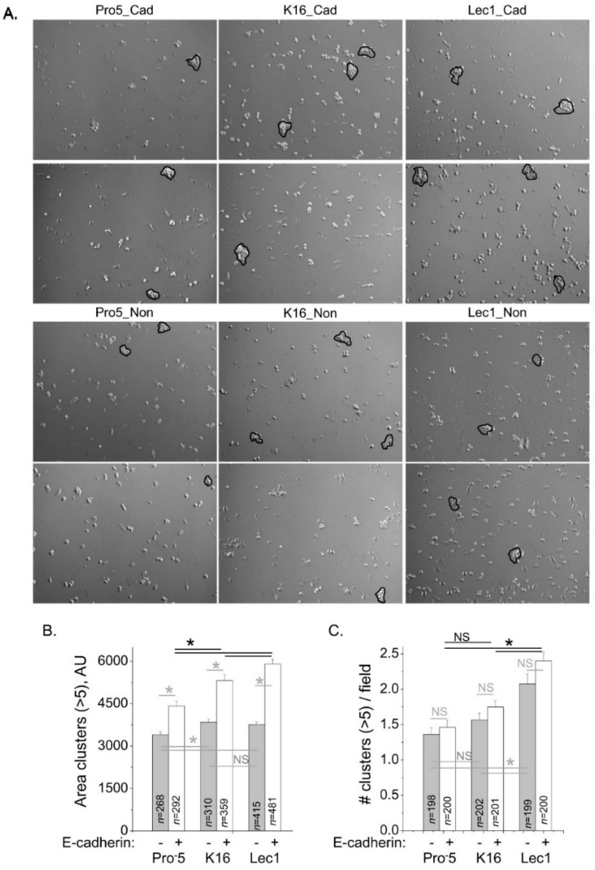 Ijms 17 00925 g007