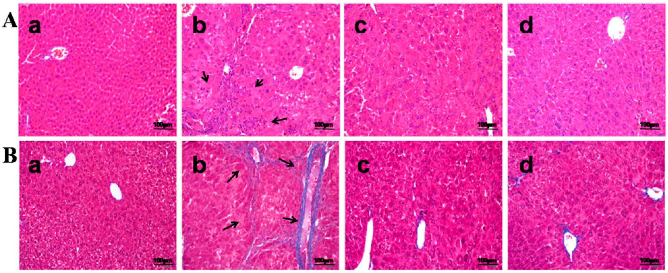 Ijms 17 01036 g002