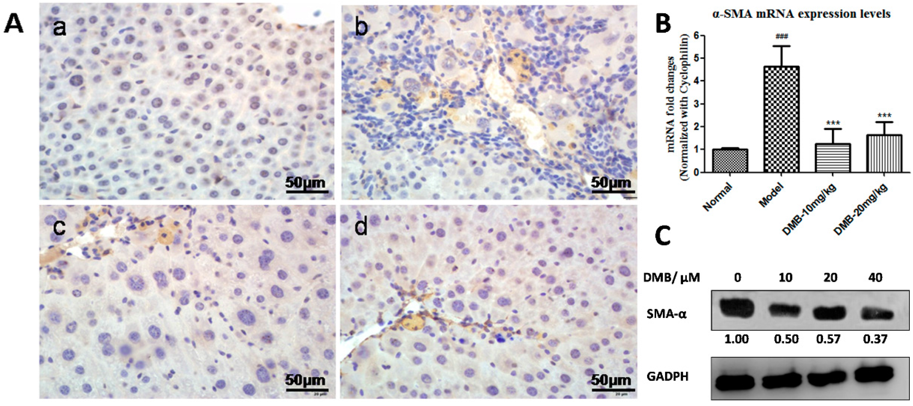 Ijms 17 01036 g003