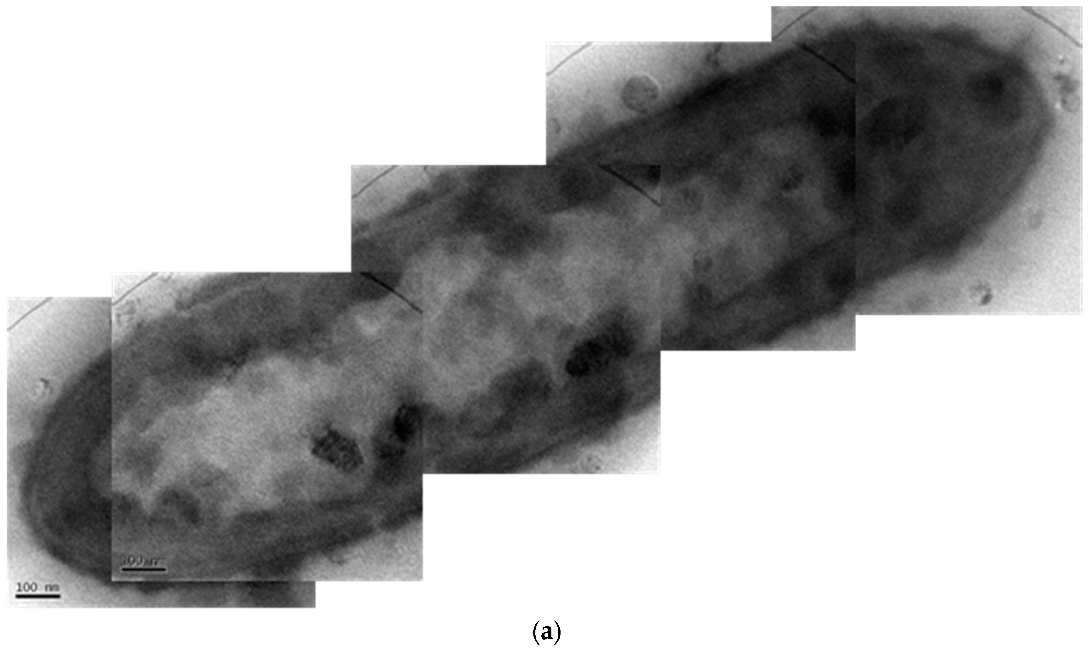 Ijms 17 01104 g010a
