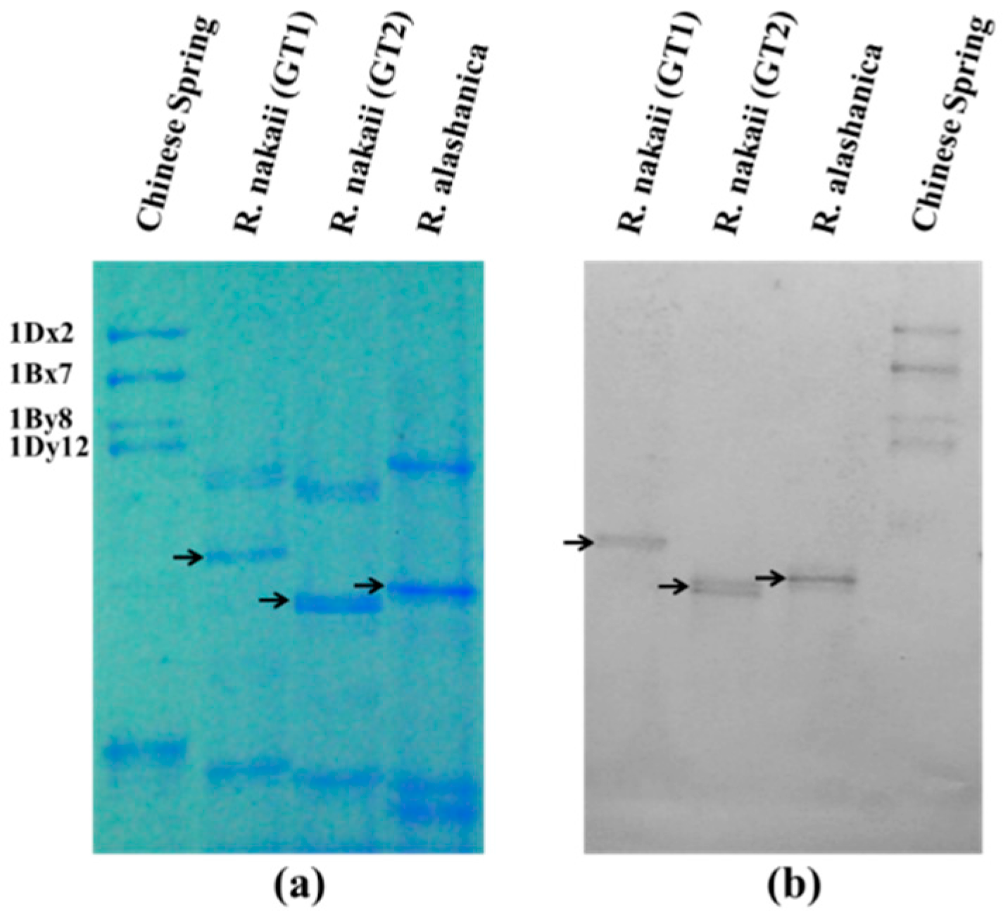 Ijms 17 01115 g001