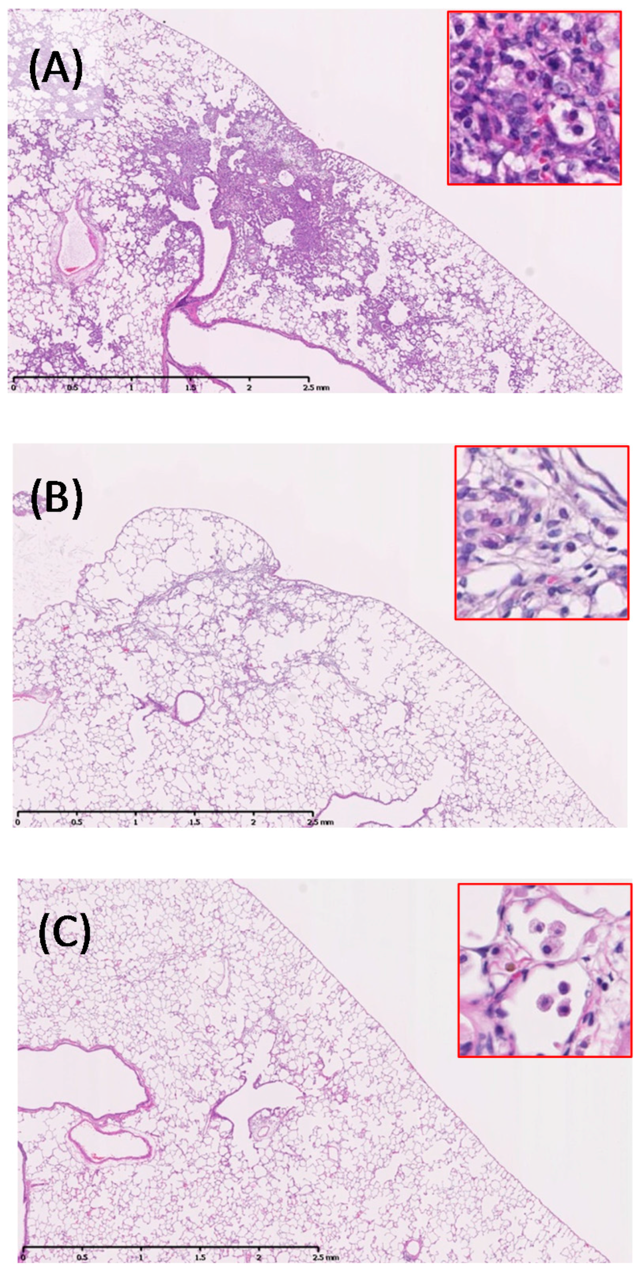 Ijms 17 01241 g002