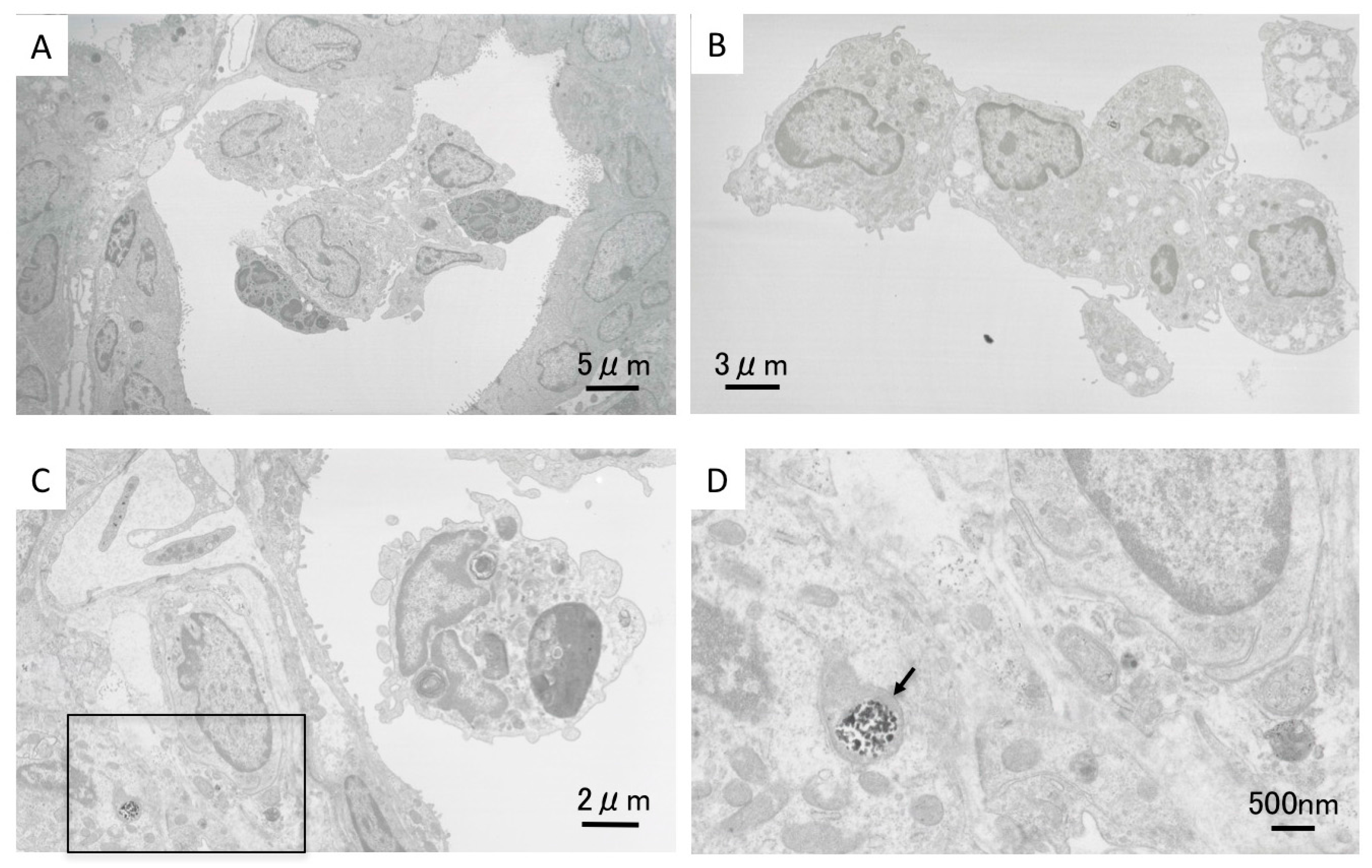 Ijms 17 01241 g003