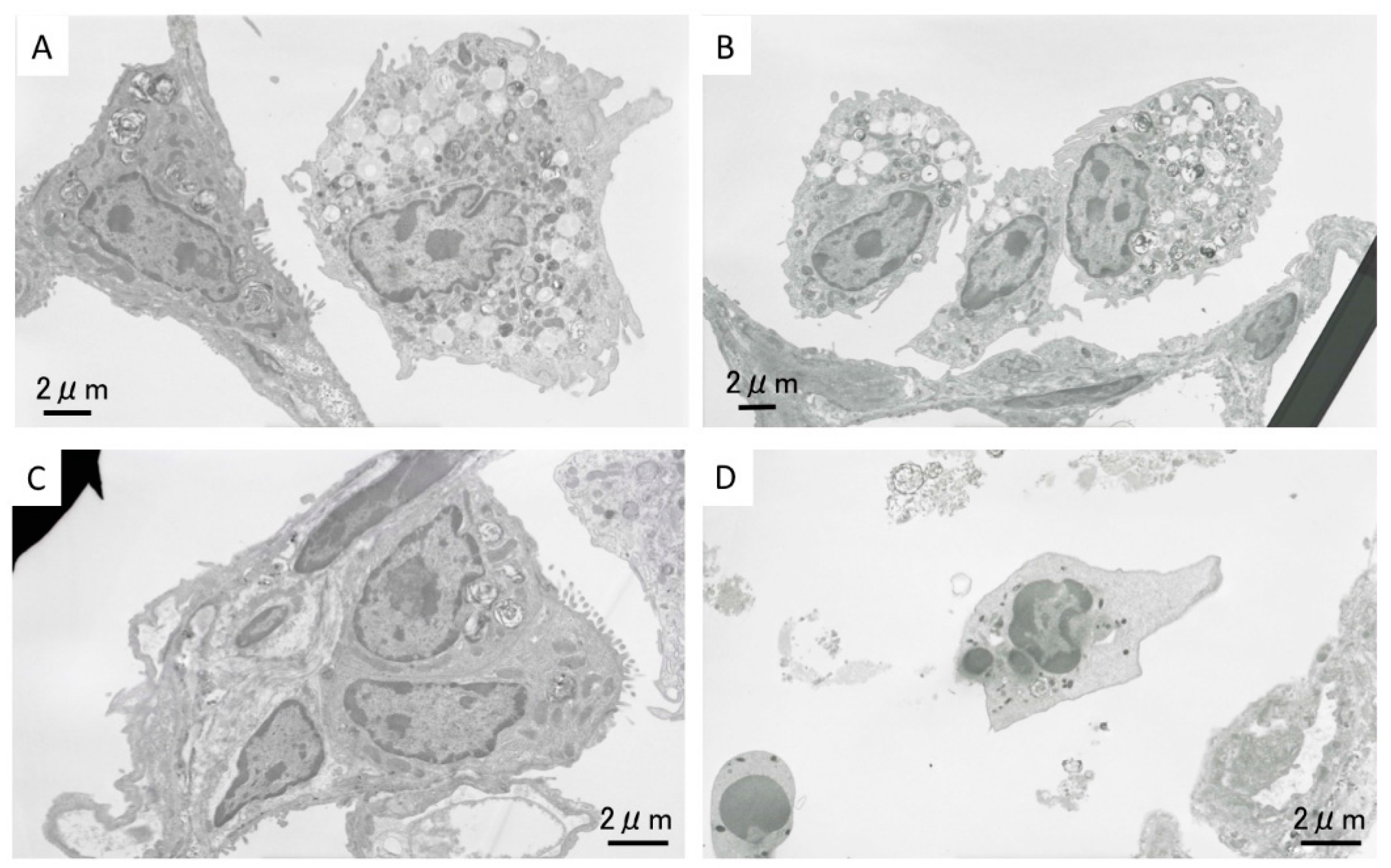 Ijms 17 01241 g006