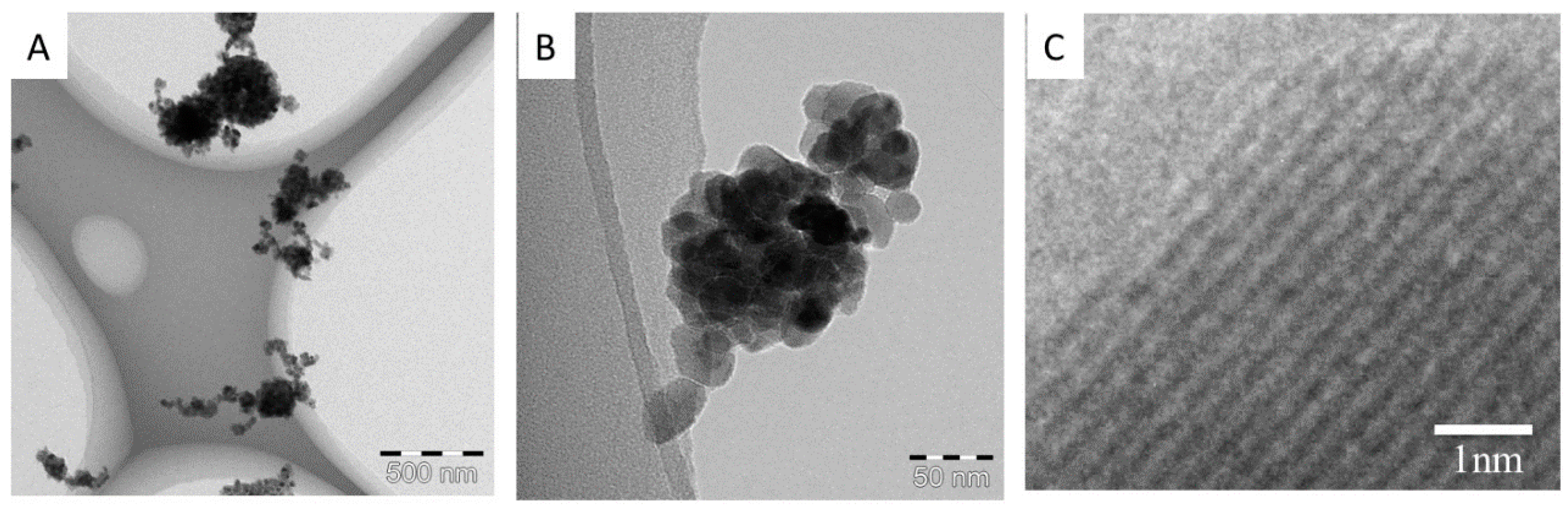 Ijms 17 01241 g008