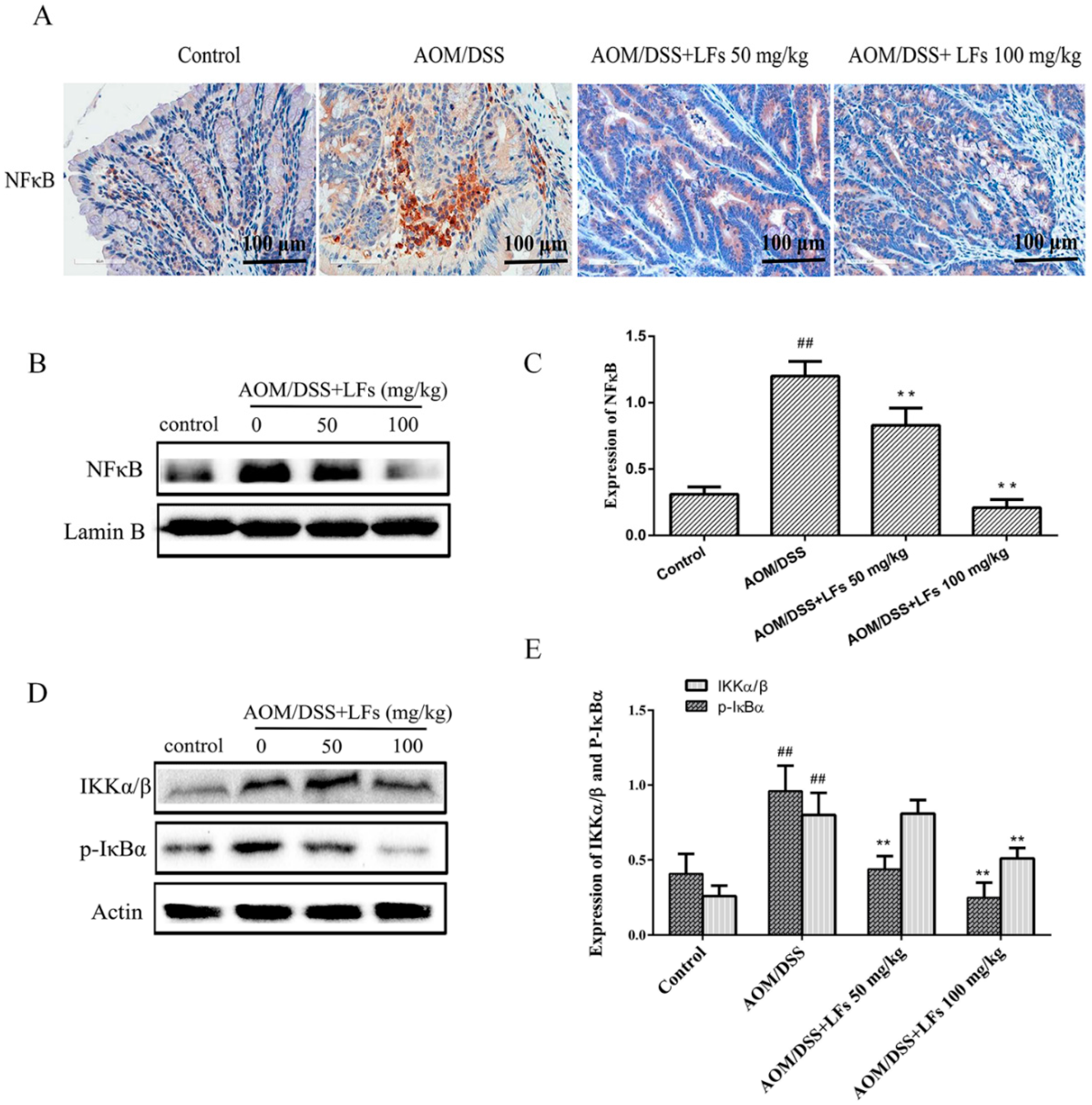 Ijms 17 01343 g006