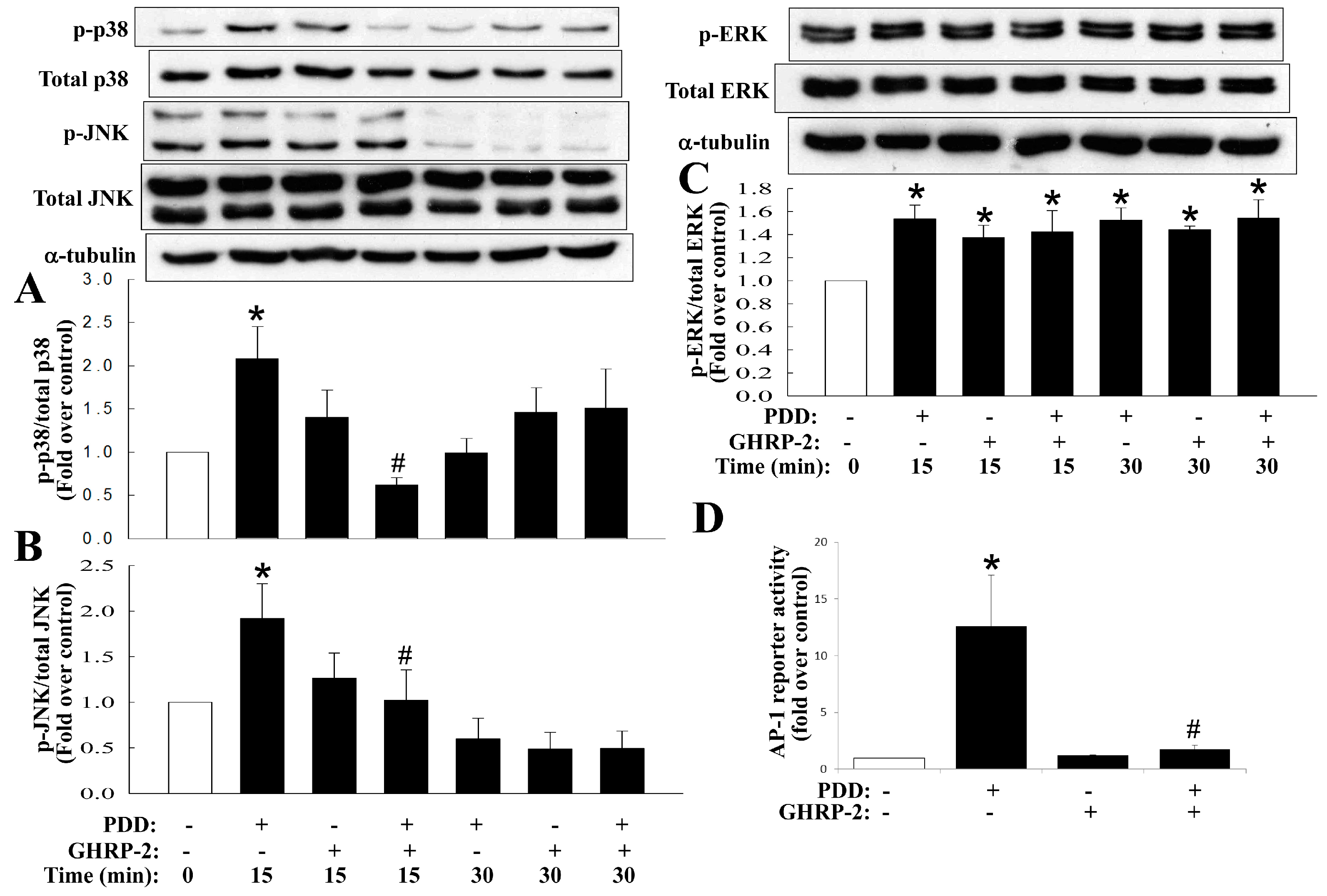 Ijms 17 01359 g007