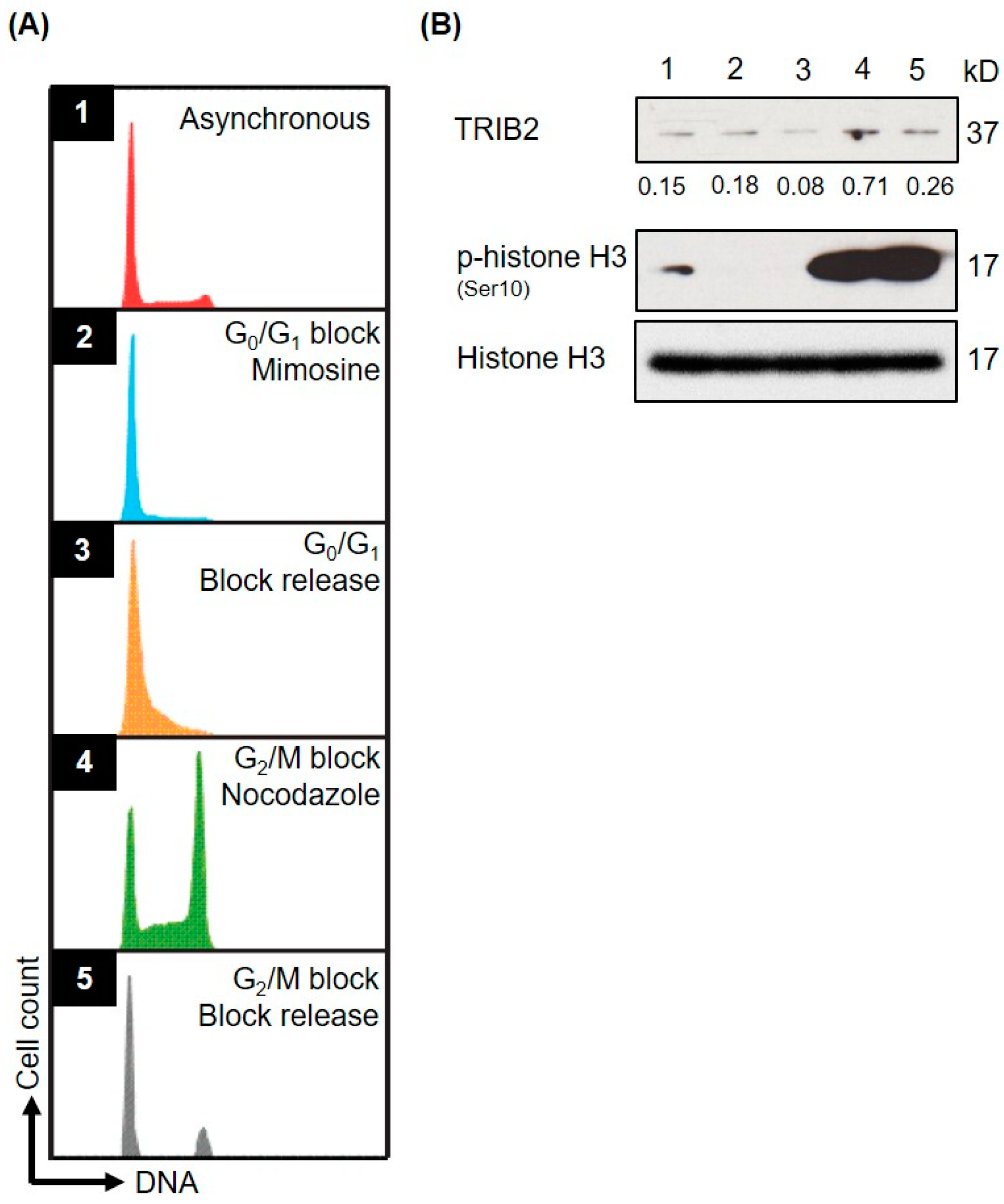 Ijms 17 01378 g004