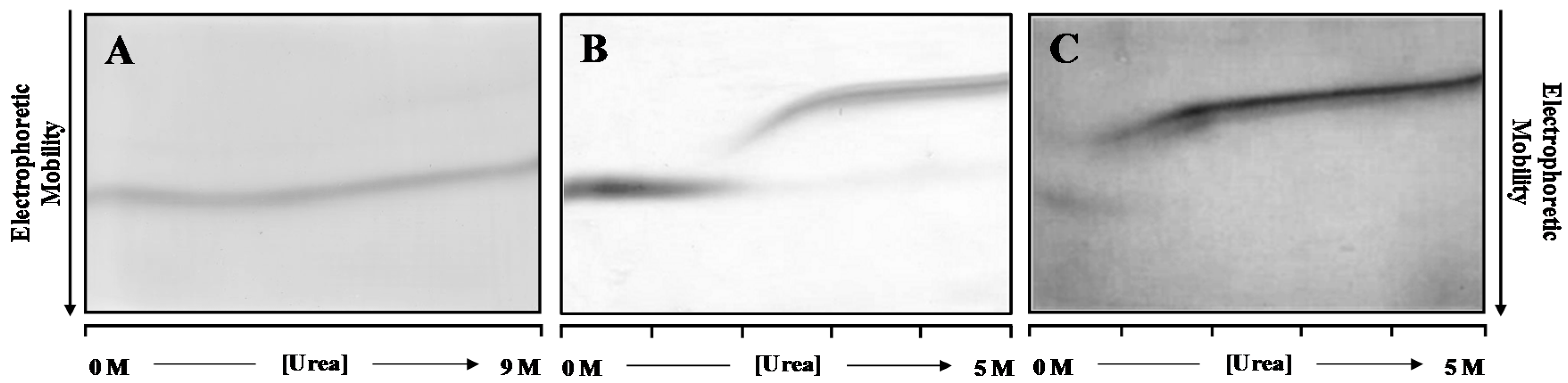 Ijms 17 01428 g001