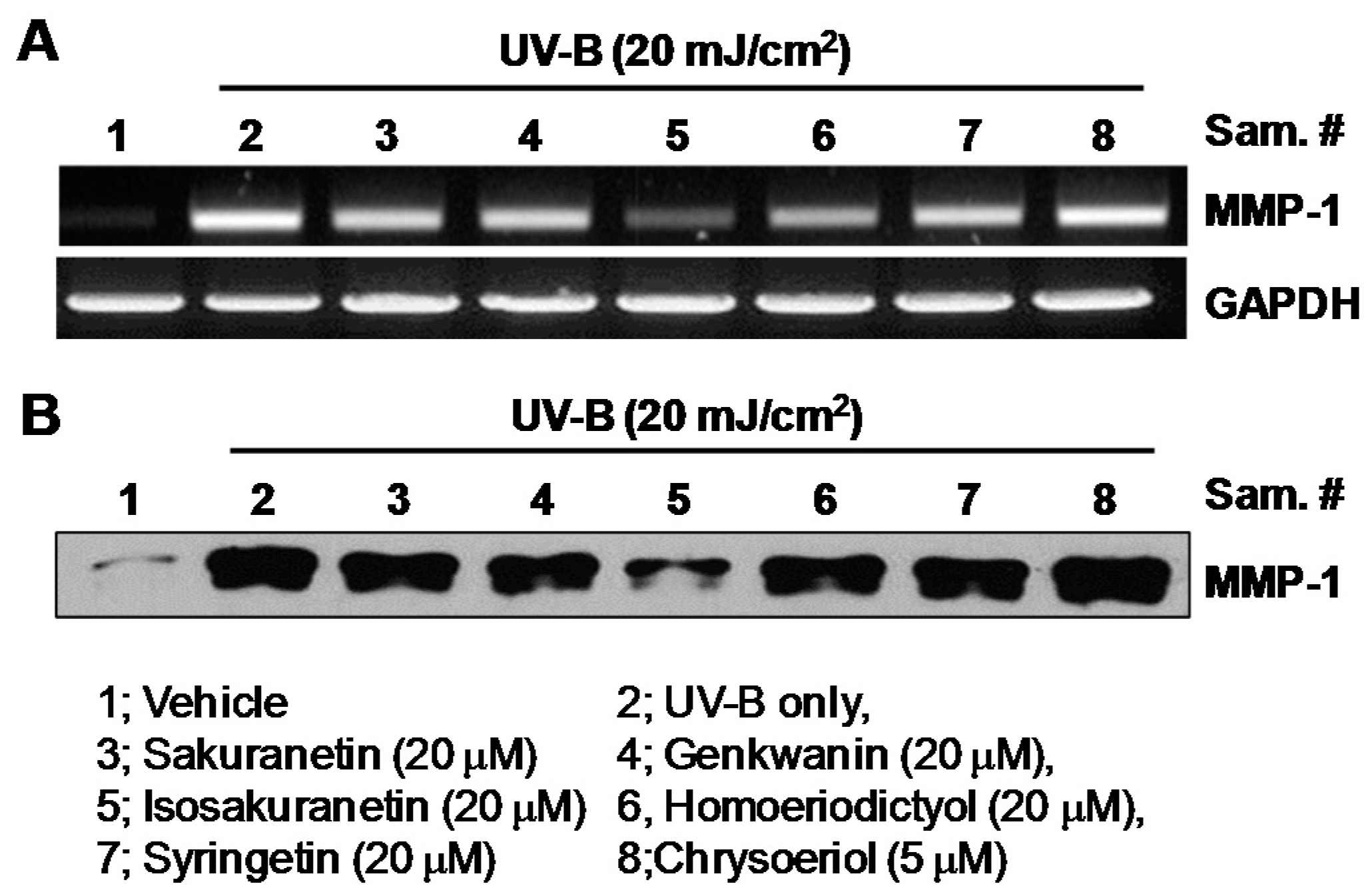 Ijms 17 01449 g003
