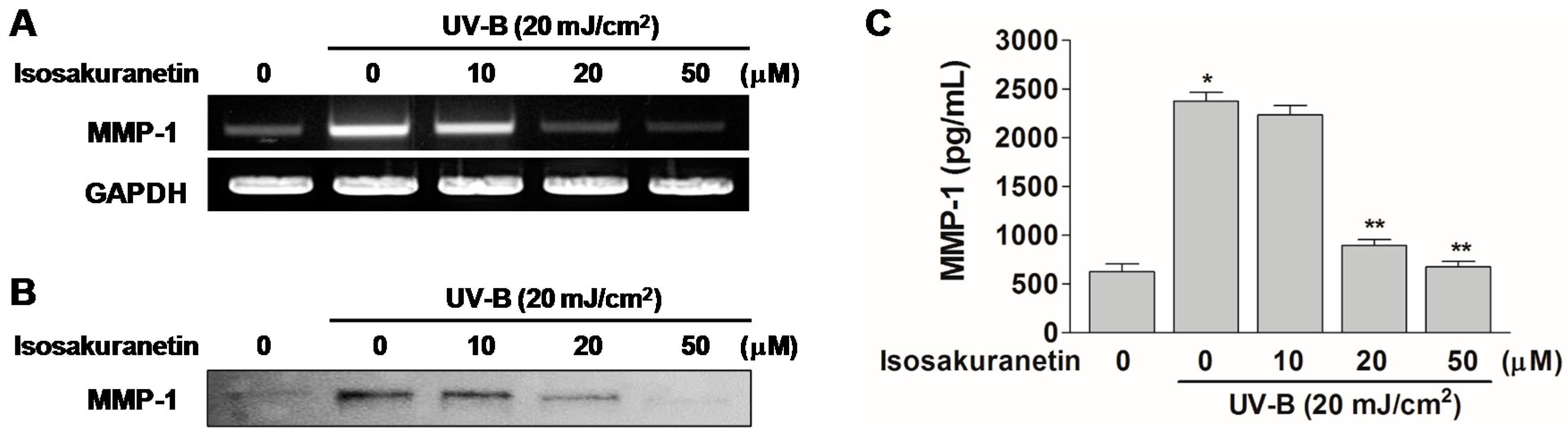 Ijms 17 01449 g004