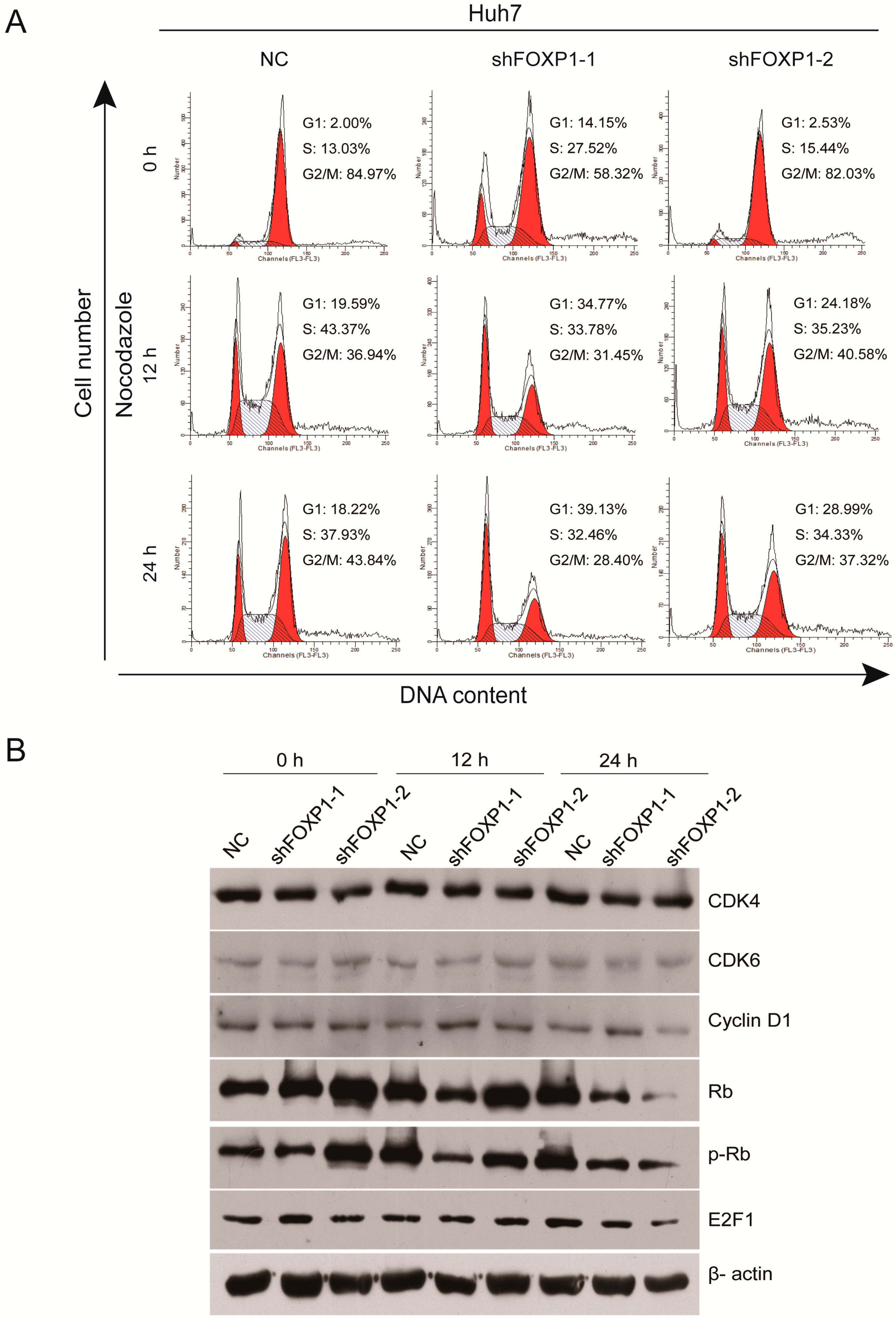 Ijms 17 01501 g004
