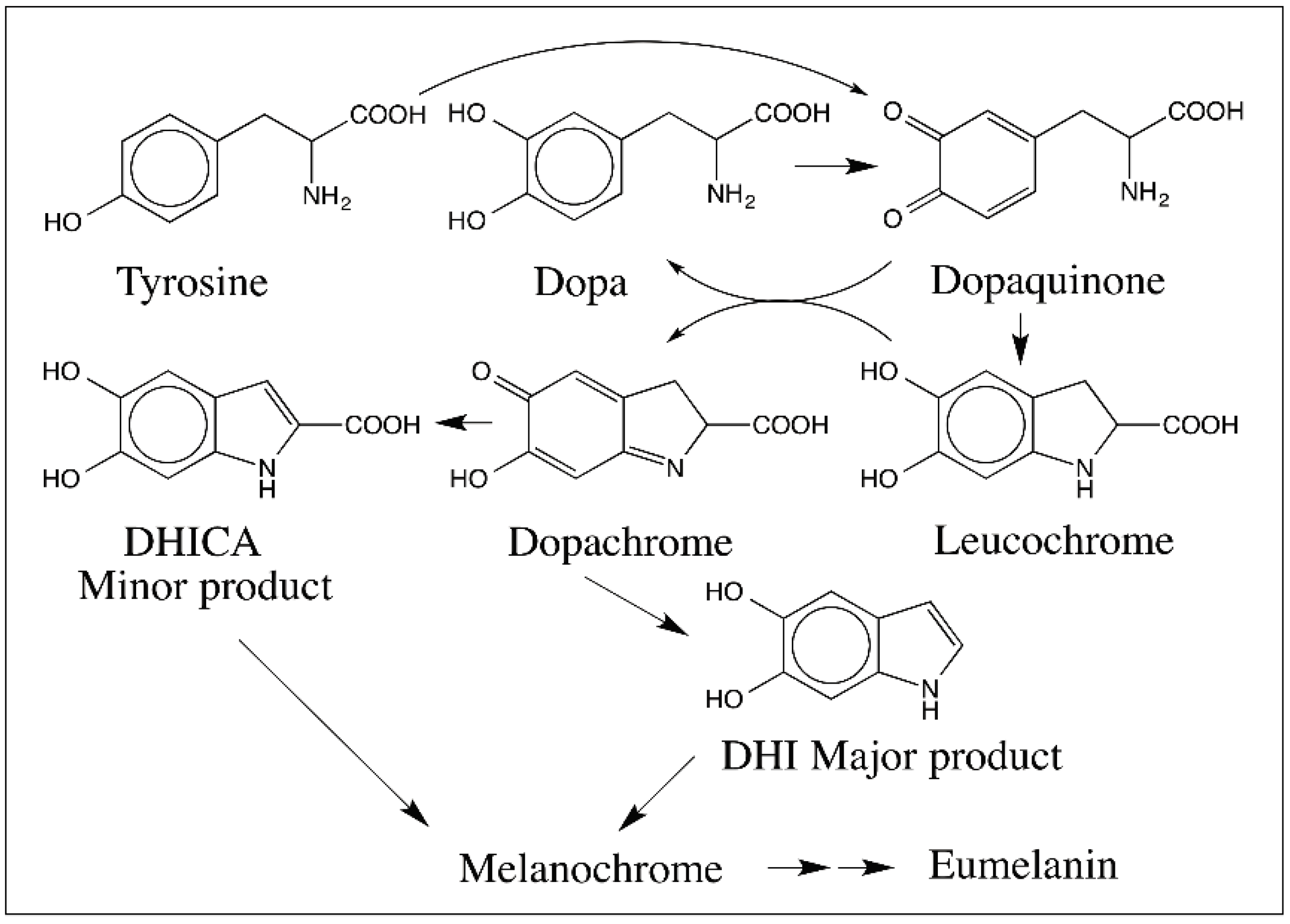 Ijms 17 01576 g001