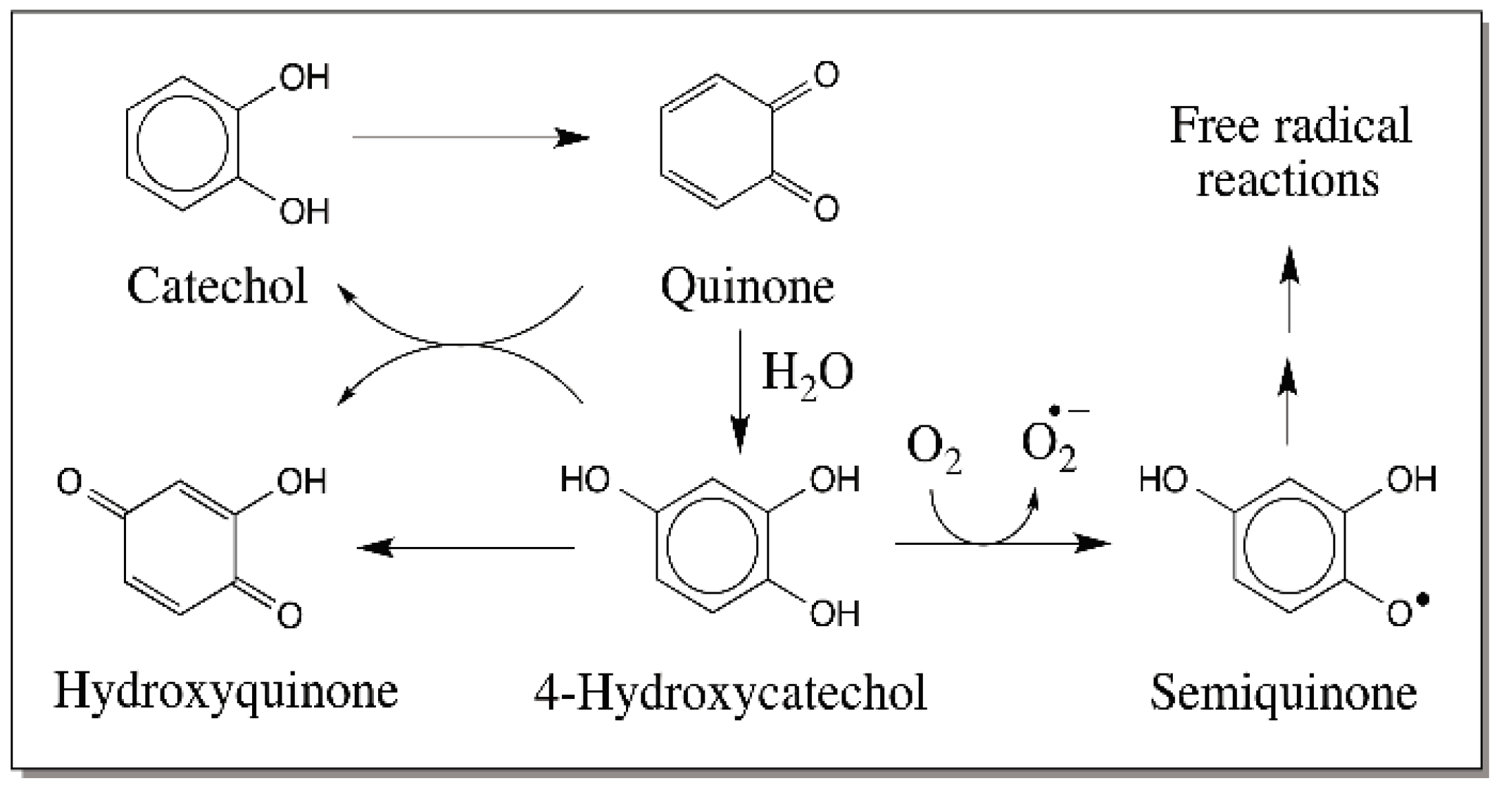 Ijms 17 01576 g002