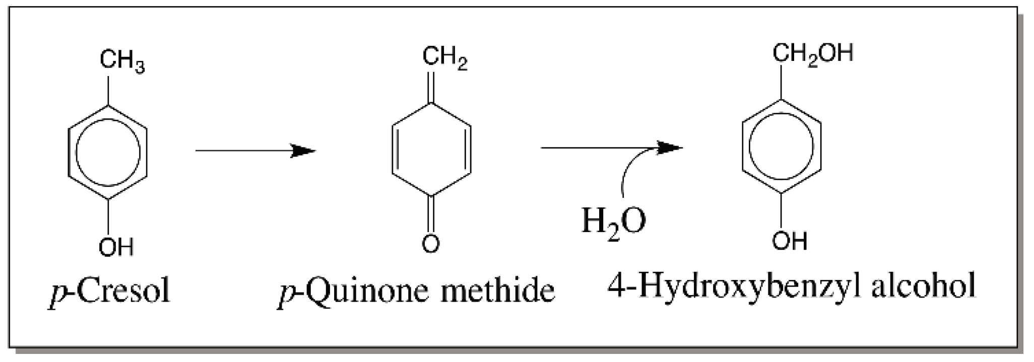 Ijms 17 01576 g006